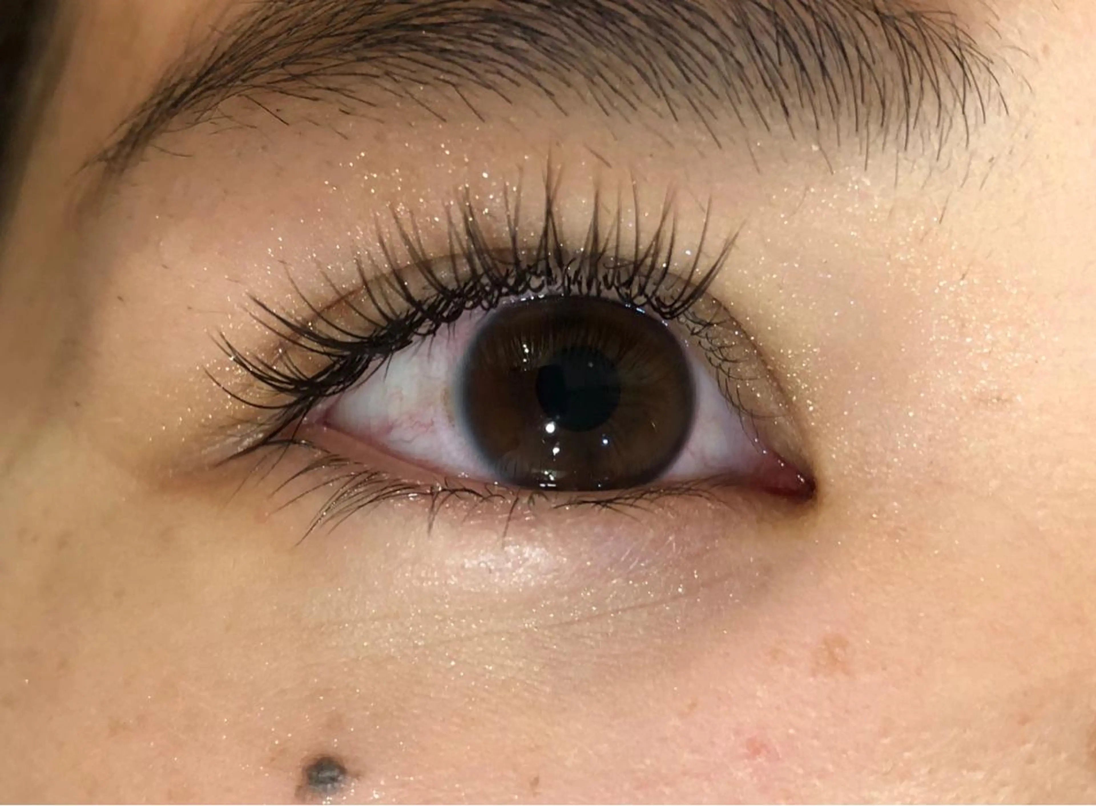 マツエク・マツパ マツエク petitchou eyelashの眉毛・アイブロウイメージ