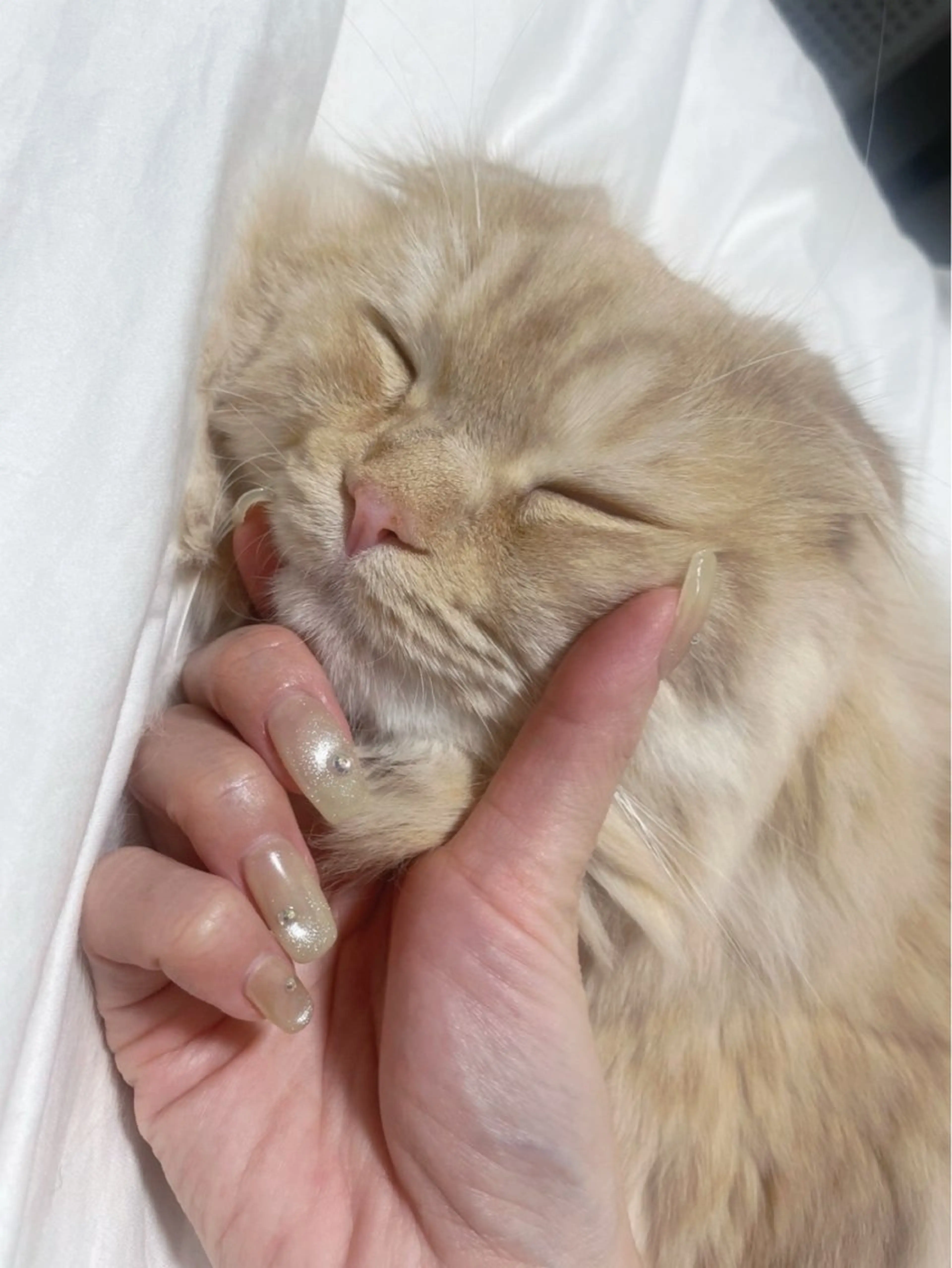 ネイル K Aのネイルデザイン