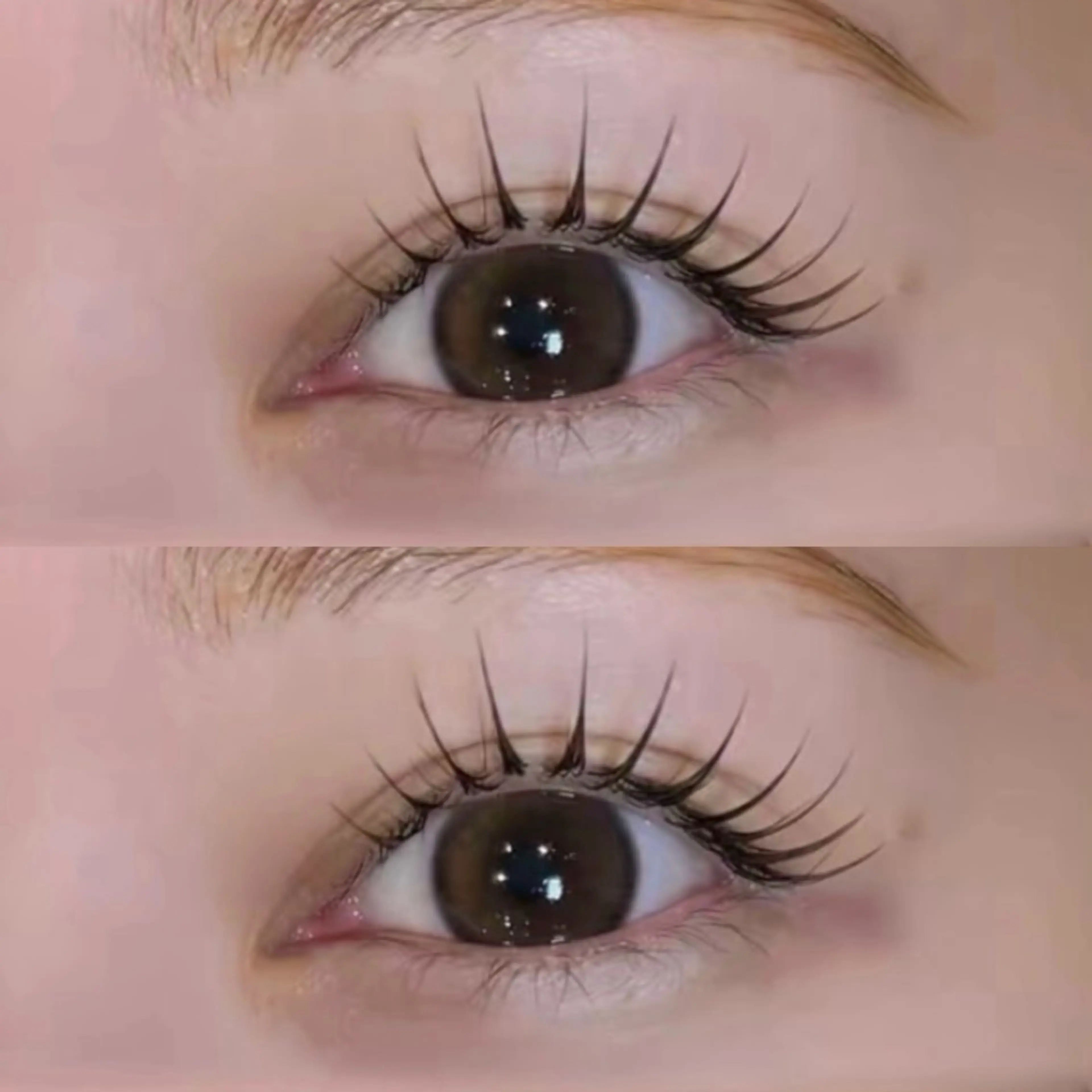 マツエク・マツパ マツエク ♥️Ji Ji♥️のマツエク・マツパデザイン