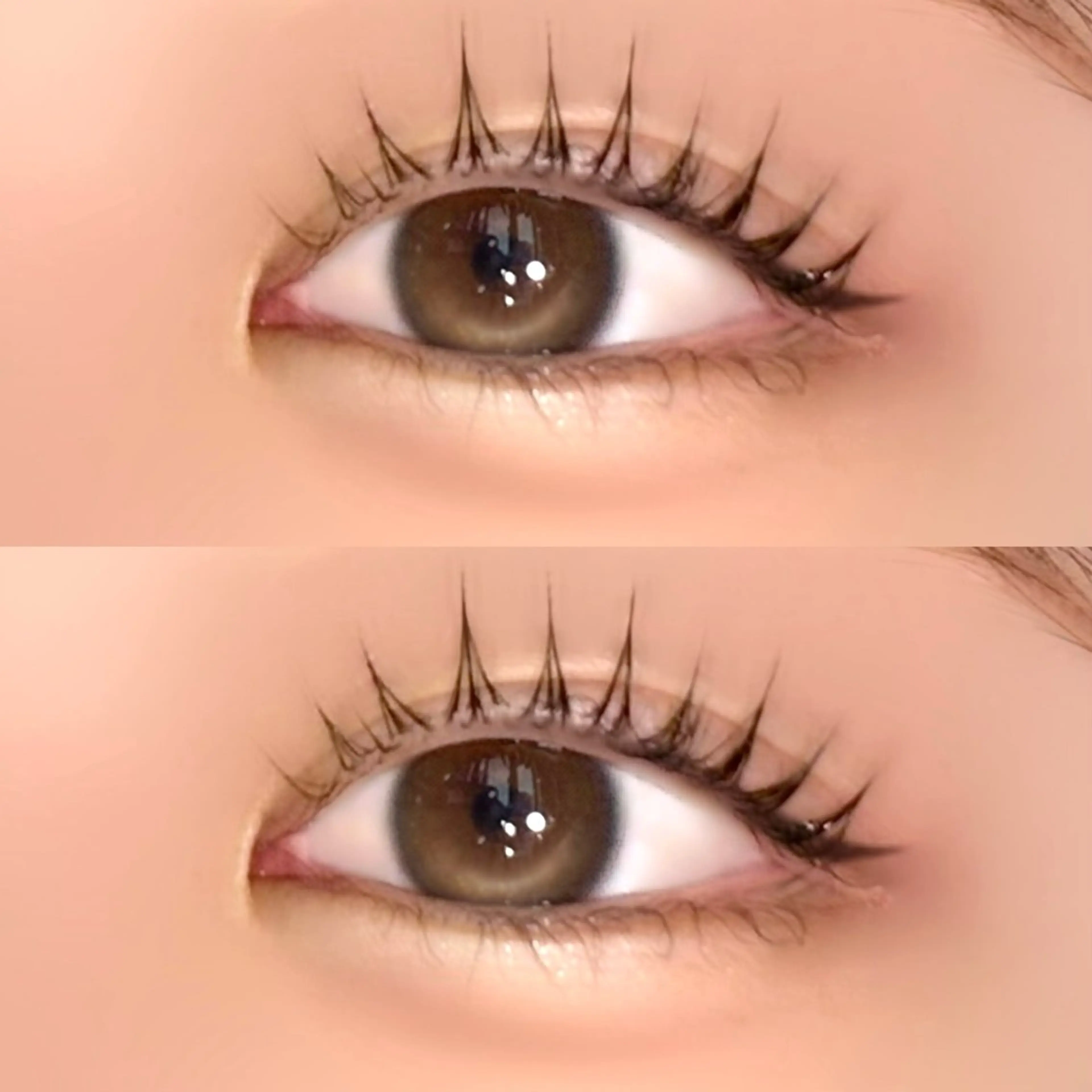 💘パリジェンヌラッシュリフト🎀➕ブラックティント🖤🪩お仕上げコーティング付き🫧の写真