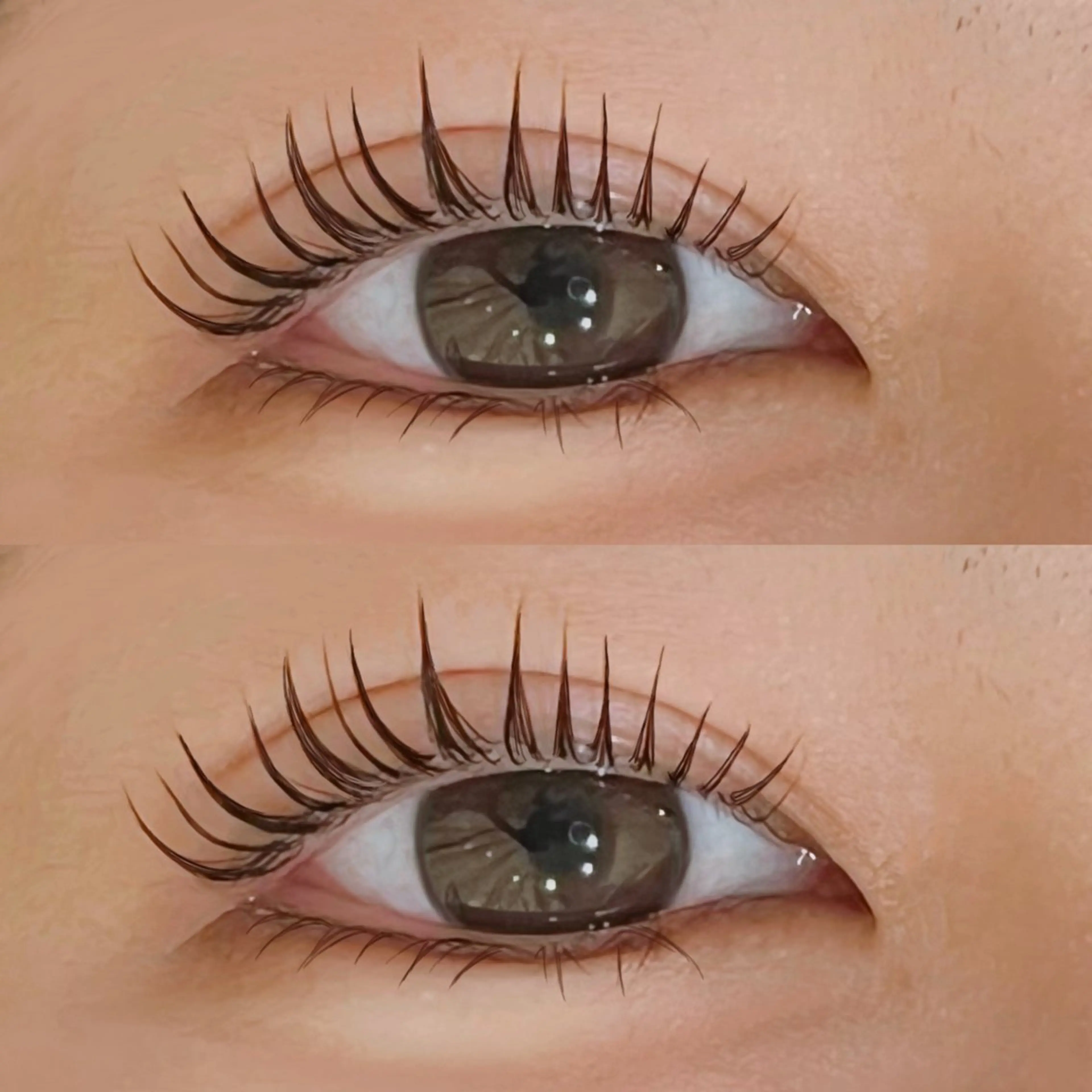 🩵平日限定🩵🫧ラッシュリフト🫧🩵🦋詳細見てから予約お願いします🦋の写真