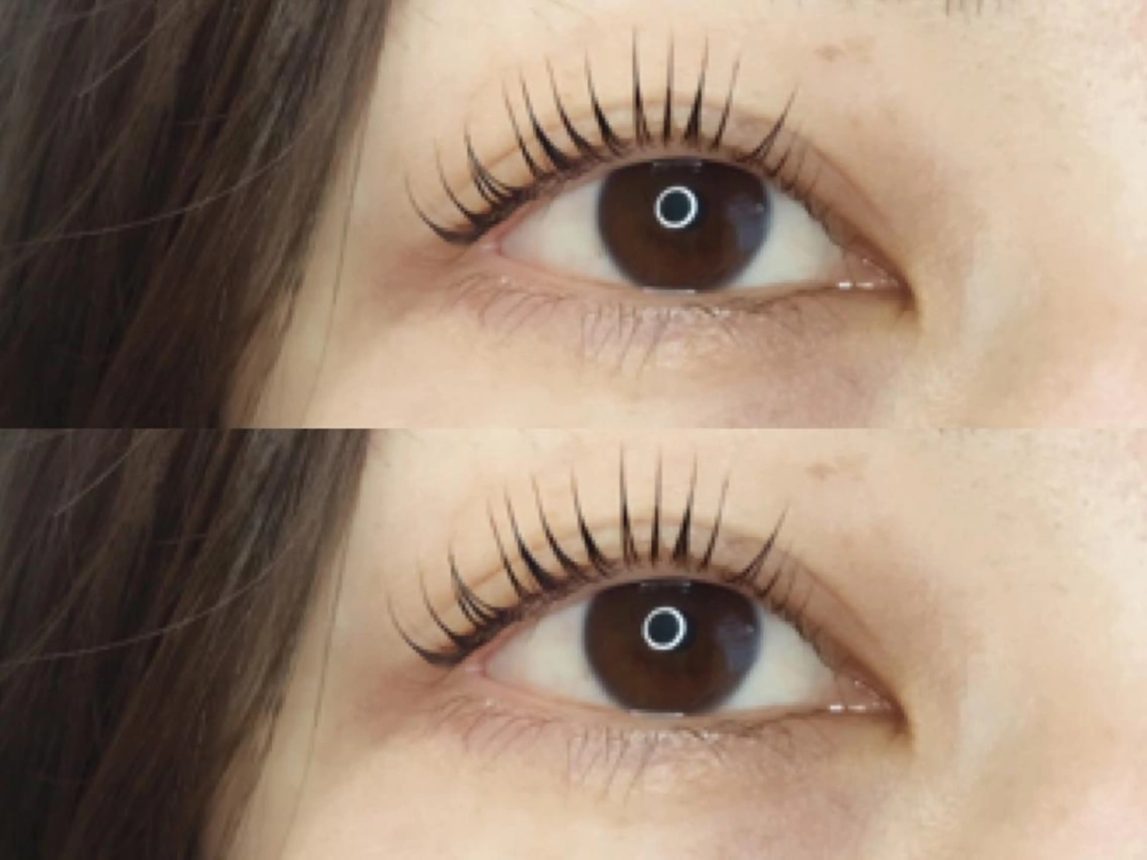 マツエク・マツパ 《eyelash ｉｉｔｅ》森のマツエク・マツパデザイン