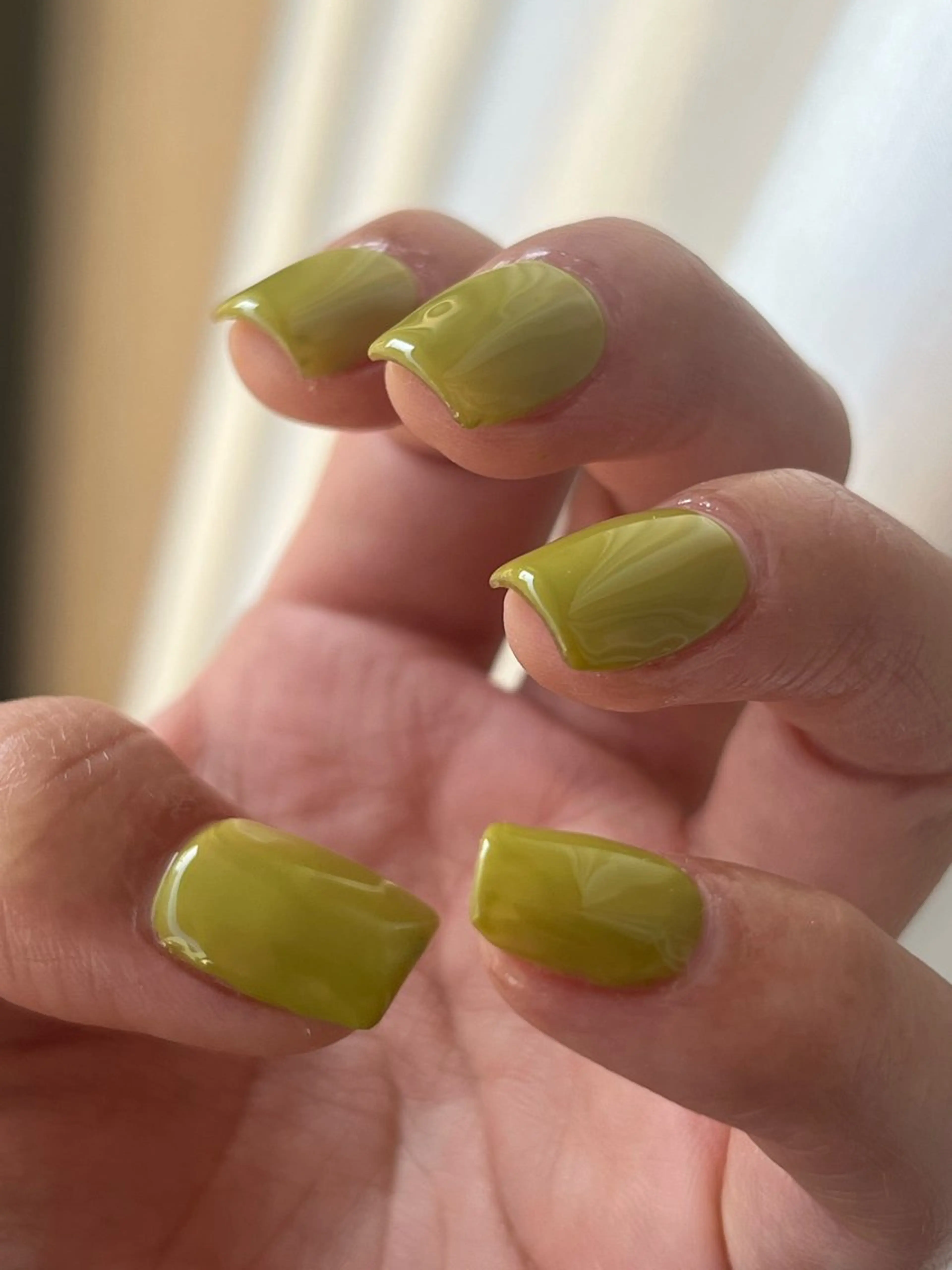 ワンカラー(オフ無し)の写真