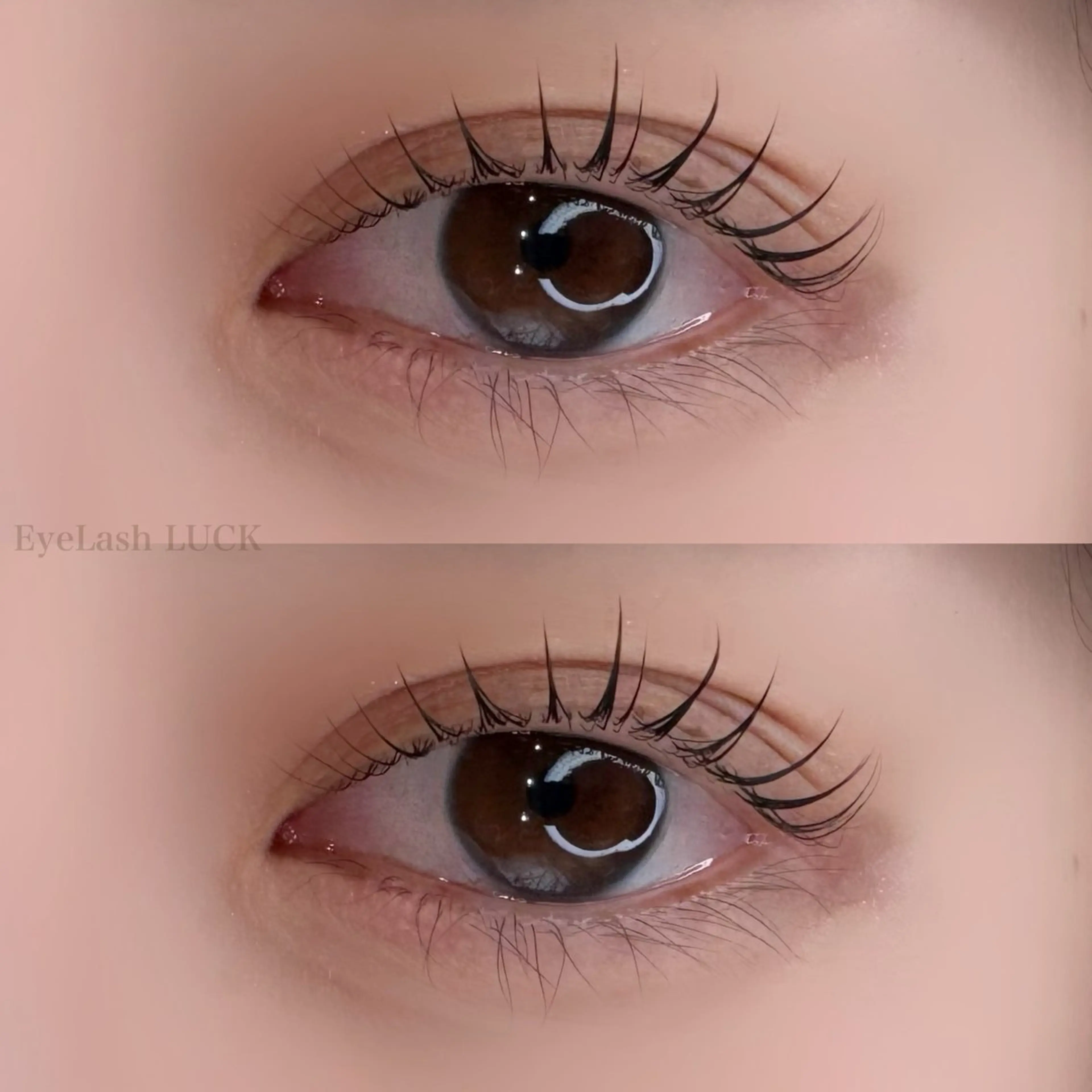 マツエク・マツパ マツパ Eyelash LUCK本厚木のマツエク・マツパデザイン