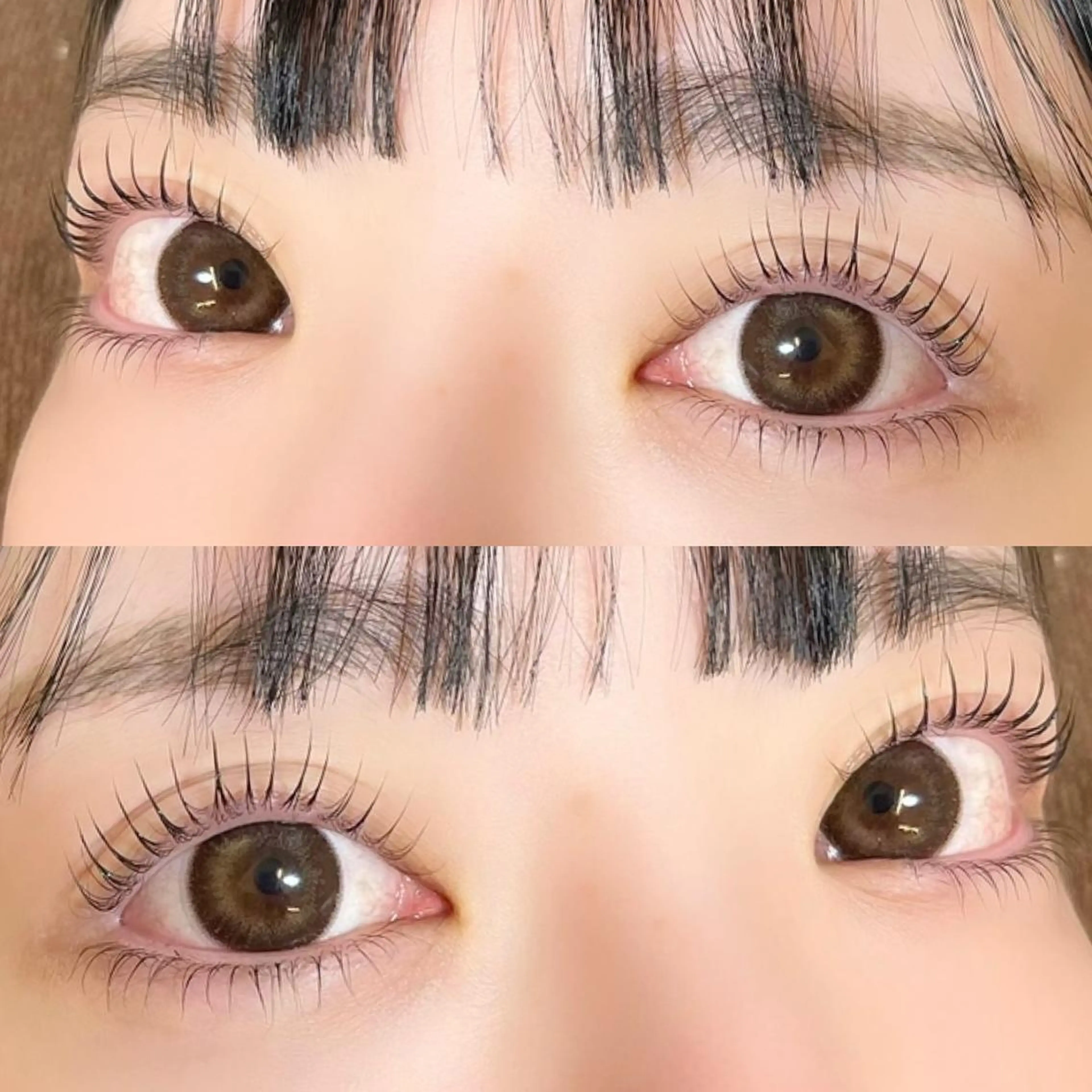 ♥︎限定特別価格♥︎上下【パリジェンヌorラッシュリフト】🎀の写真