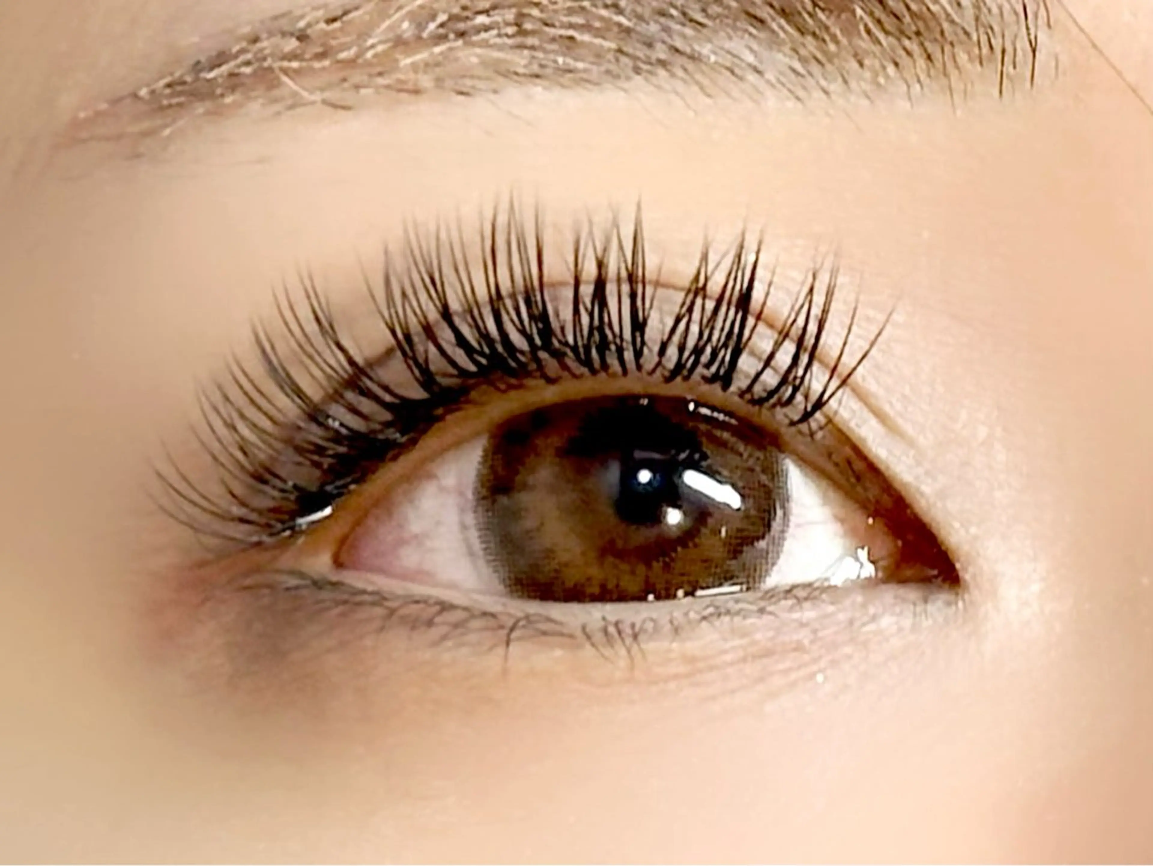 マツエク・マツパ Coquille2 コキーユ2のマツエク・マツパデザイン