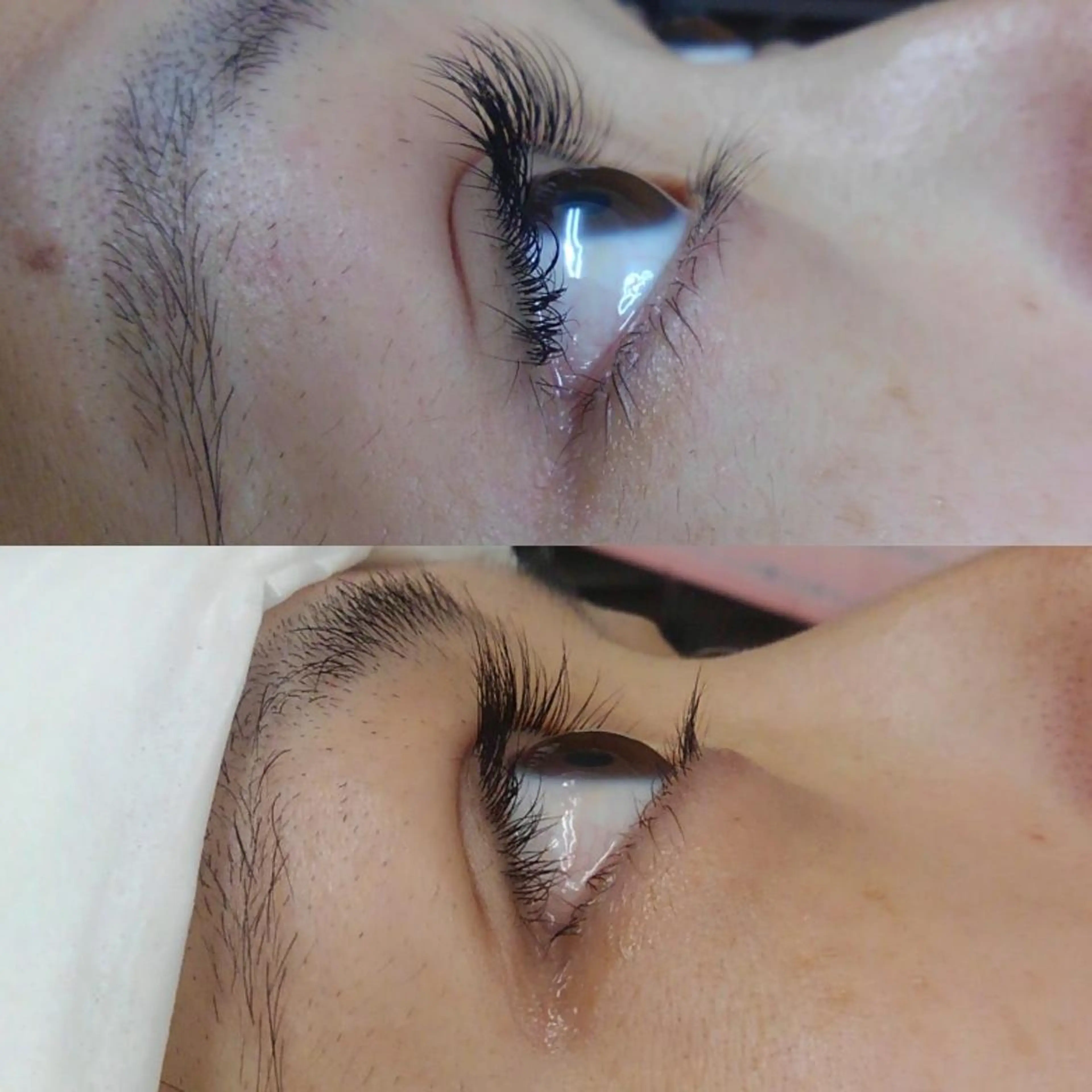 マツエク・マツパ siklap シクラプのマツエク・マツパデザイン