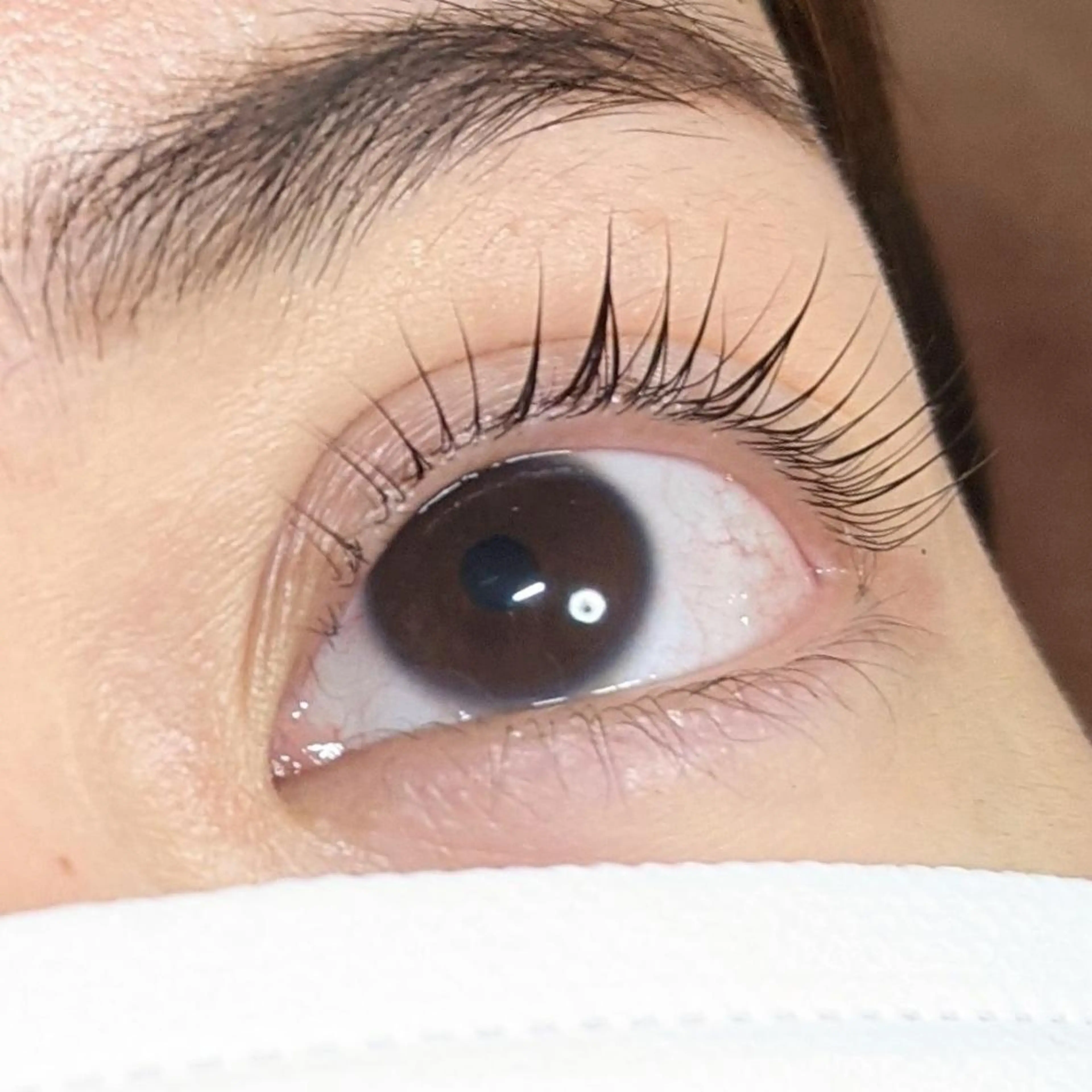 マツエク・マツパ マツパ ｱｲﾗｯｼｭ ﾈｲﾙ ｻﾛﾝ つけるのマツエク・マツパデザイン