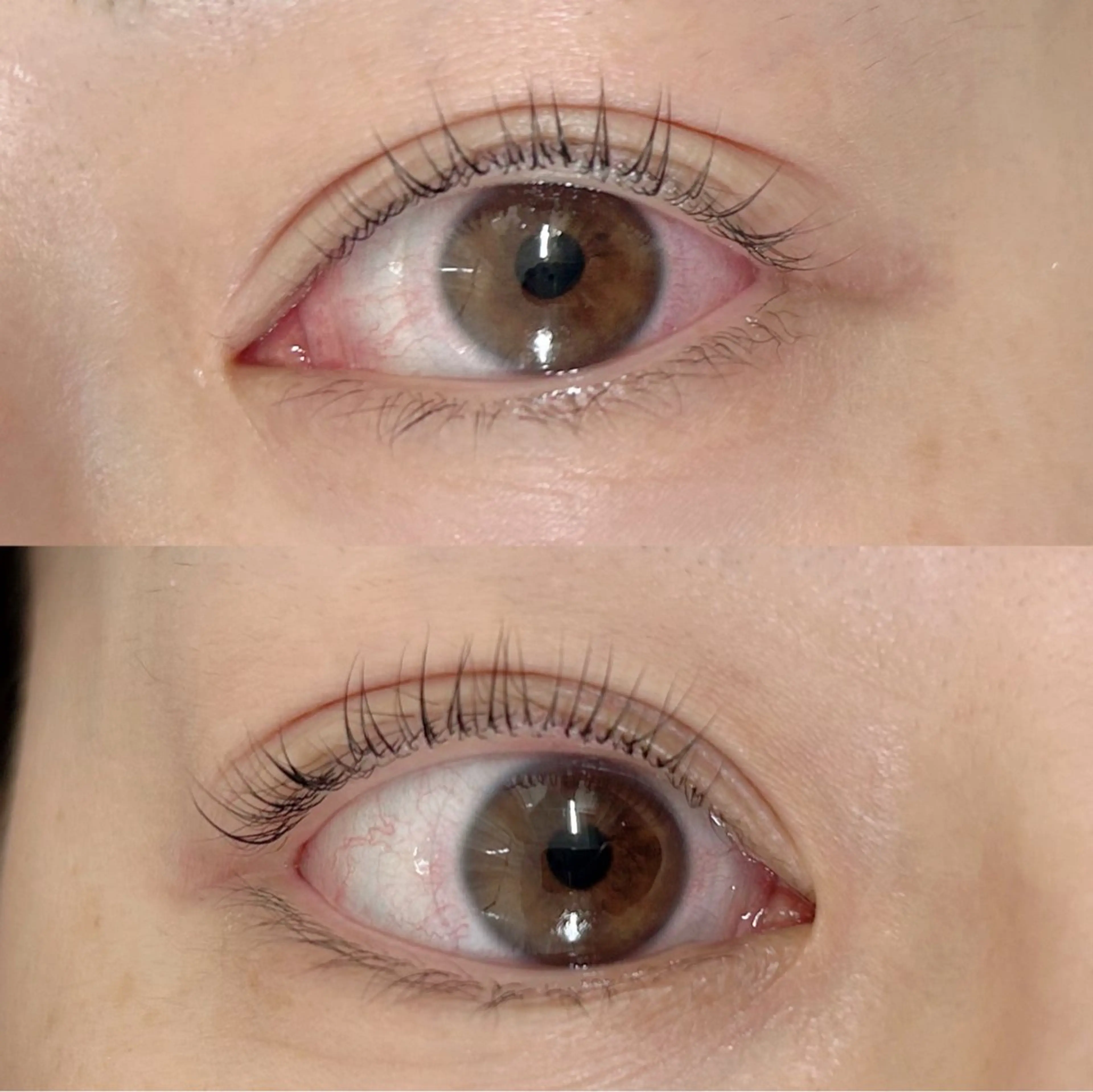 マツエク・マツパ パリジェンヌラッシュリフト サクラブロウ京橋 増田のマツエク・マツパデザイン