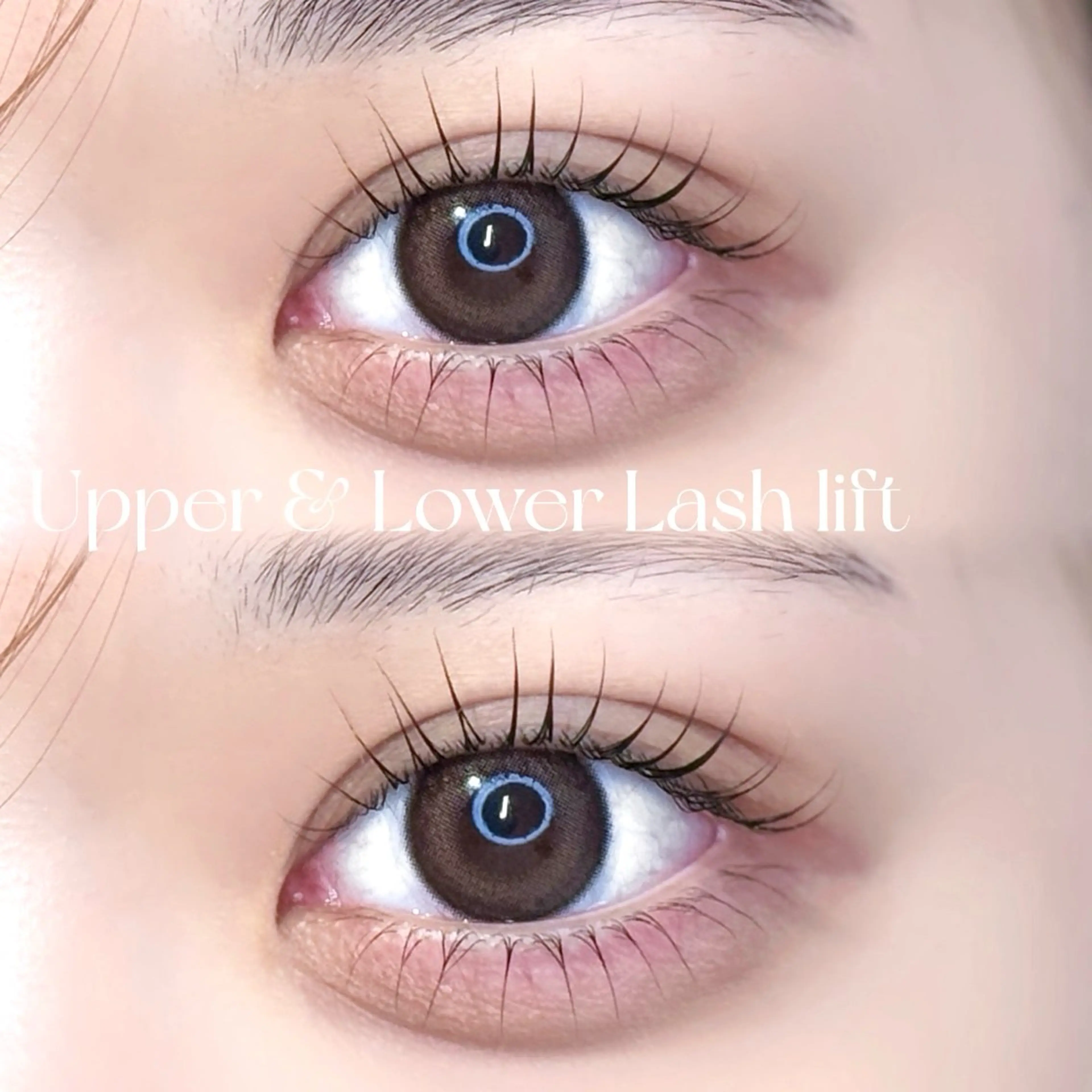 【4月限定✨】中顔面短縮◎上下ラッシュリフト🎀+コーティング仕上げ🪄    ¥7700→¥6600の写真