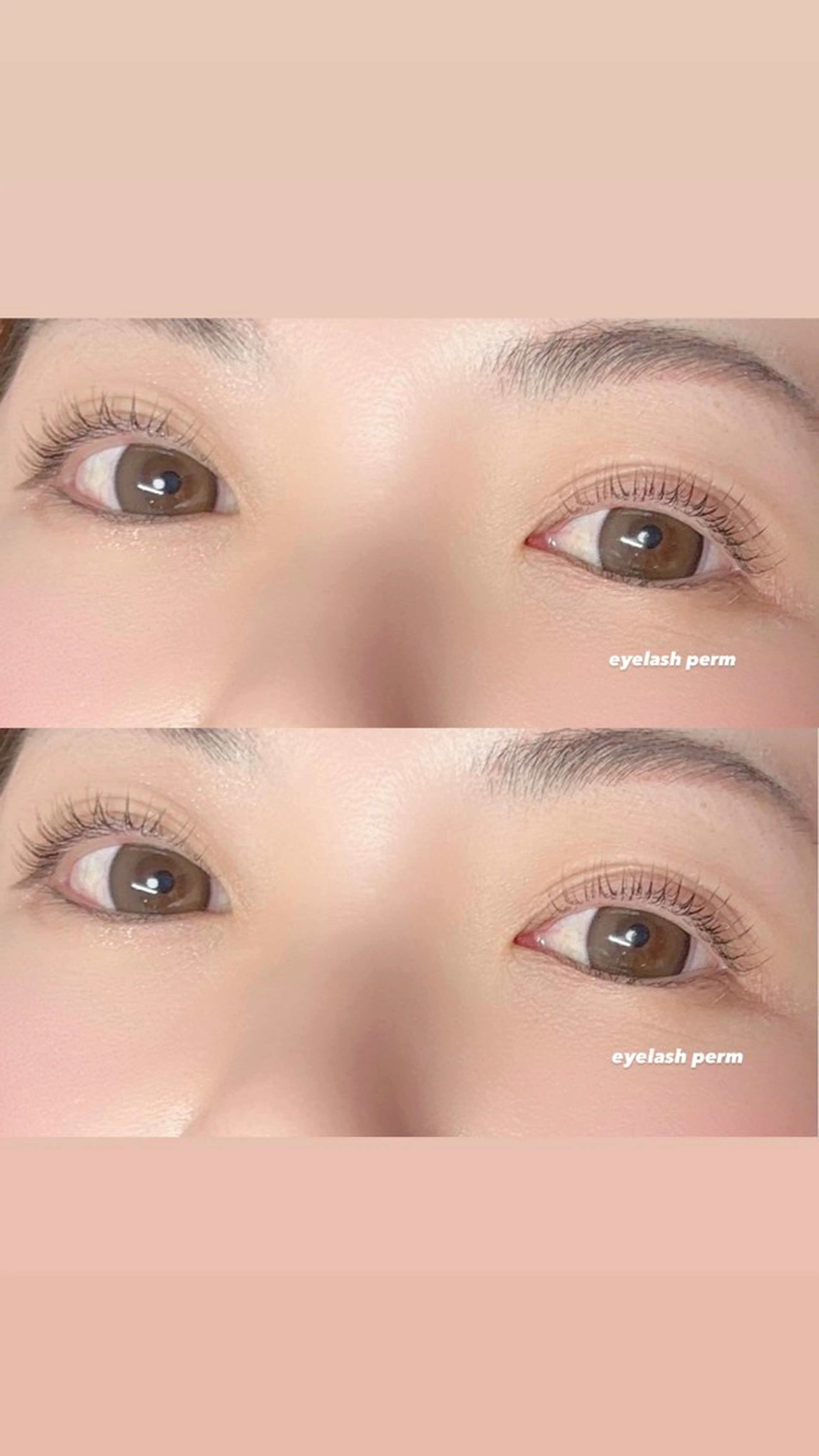 マツエク・マツパ Ayumi.dre 🐹H〈2階〉のマツエク・マツパデザイン