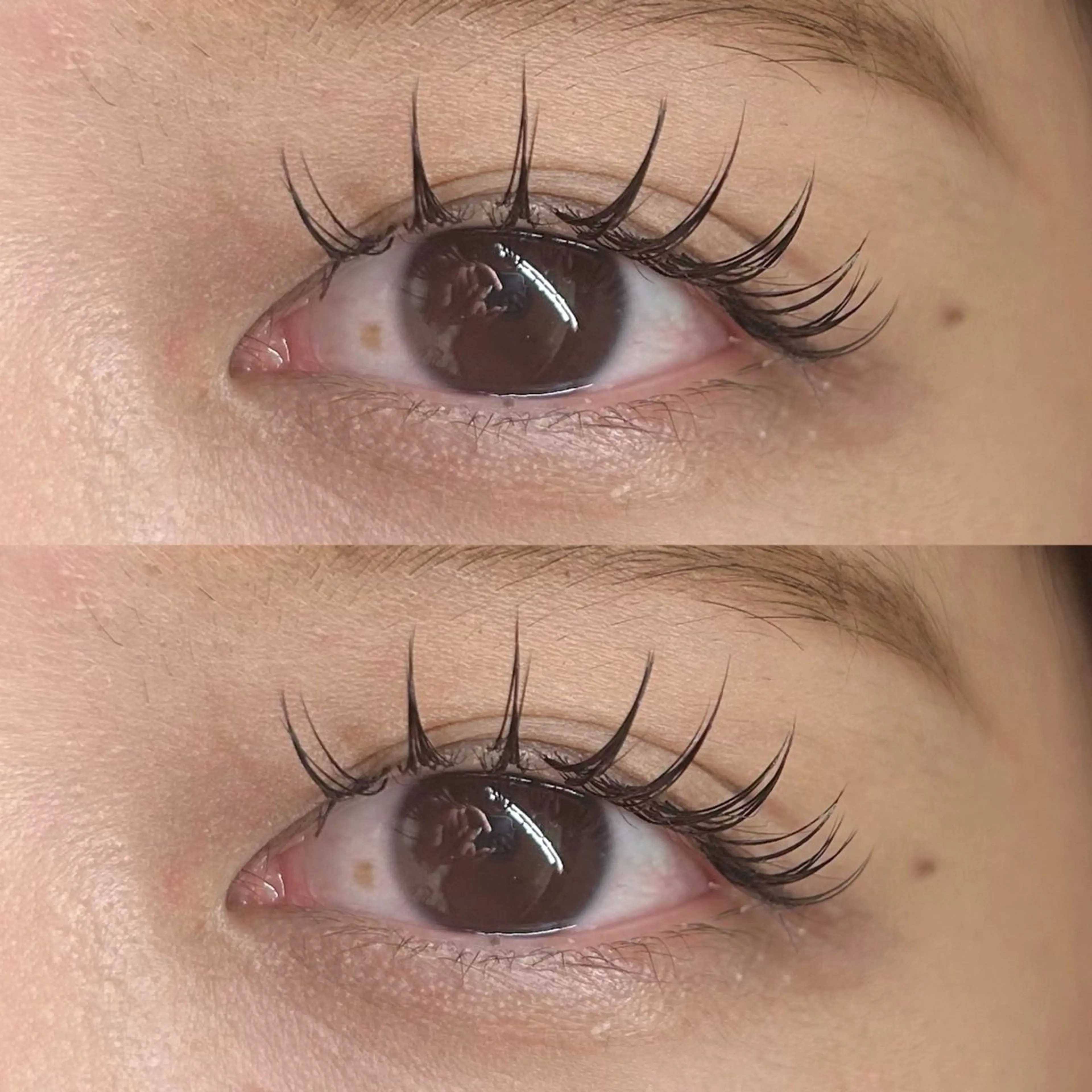 マツエク・マツパ マツエク Rise 🎀のマツエク・マツパデザイン