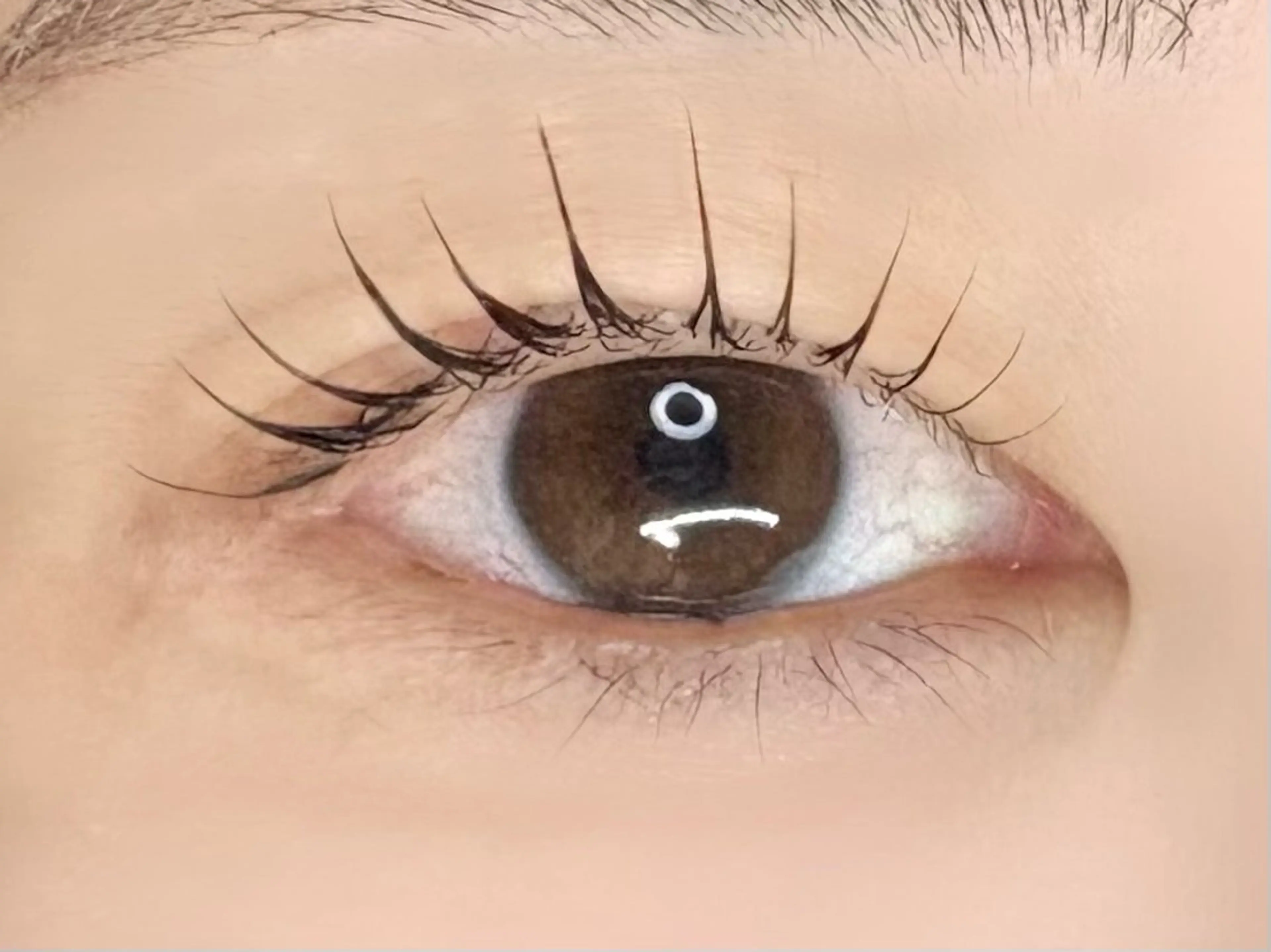 マツエク・マツパ マツパ Chisato🤍池 袋/マツパ/マツエクのマツエク・マツパデザイン