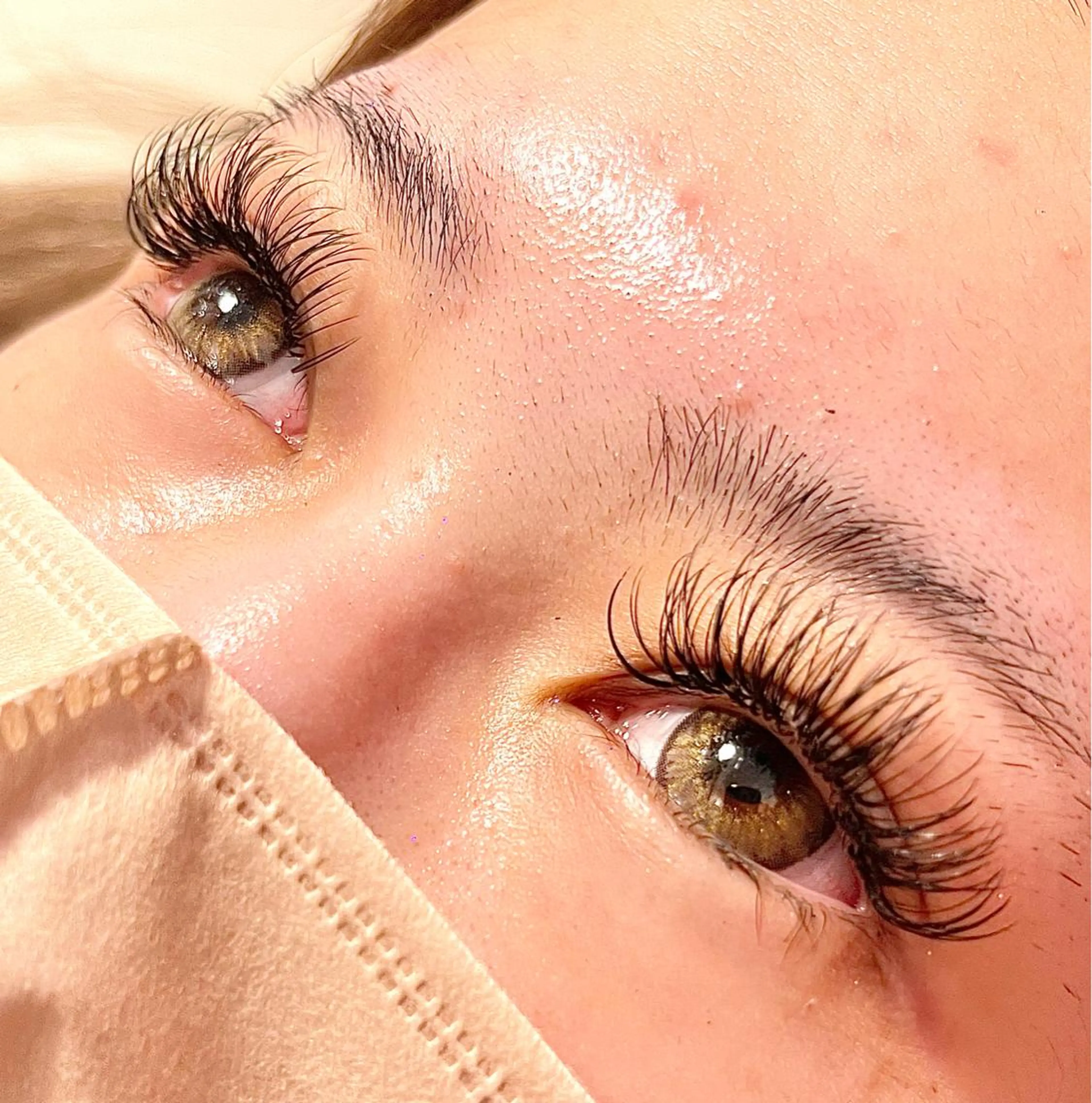 バインドロック140束オフ込の写真