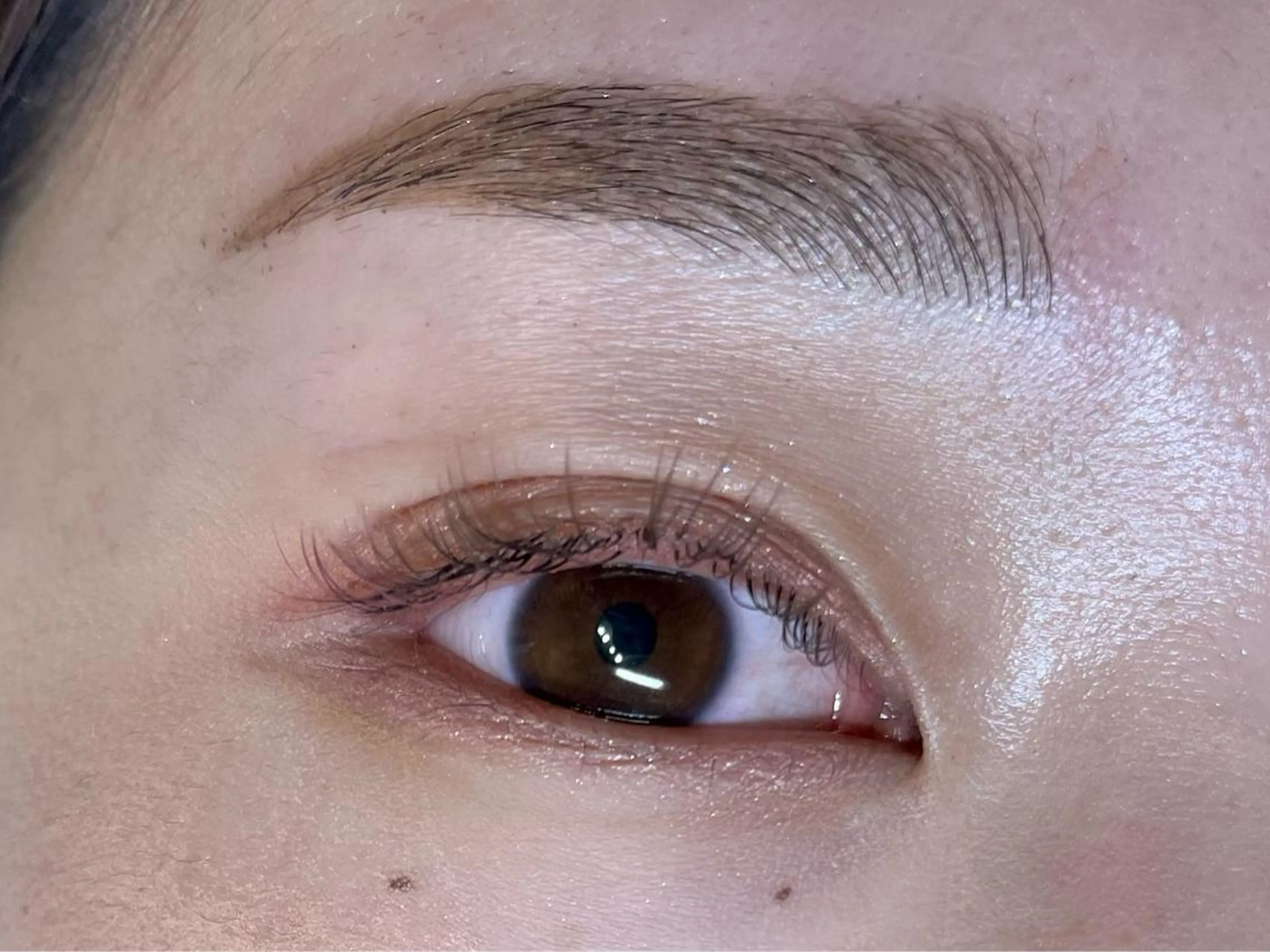 マツエク・マツパ アイブロウ 眉カラー カラーマツエク laboT satsukiのマツエク・マツパデザイン