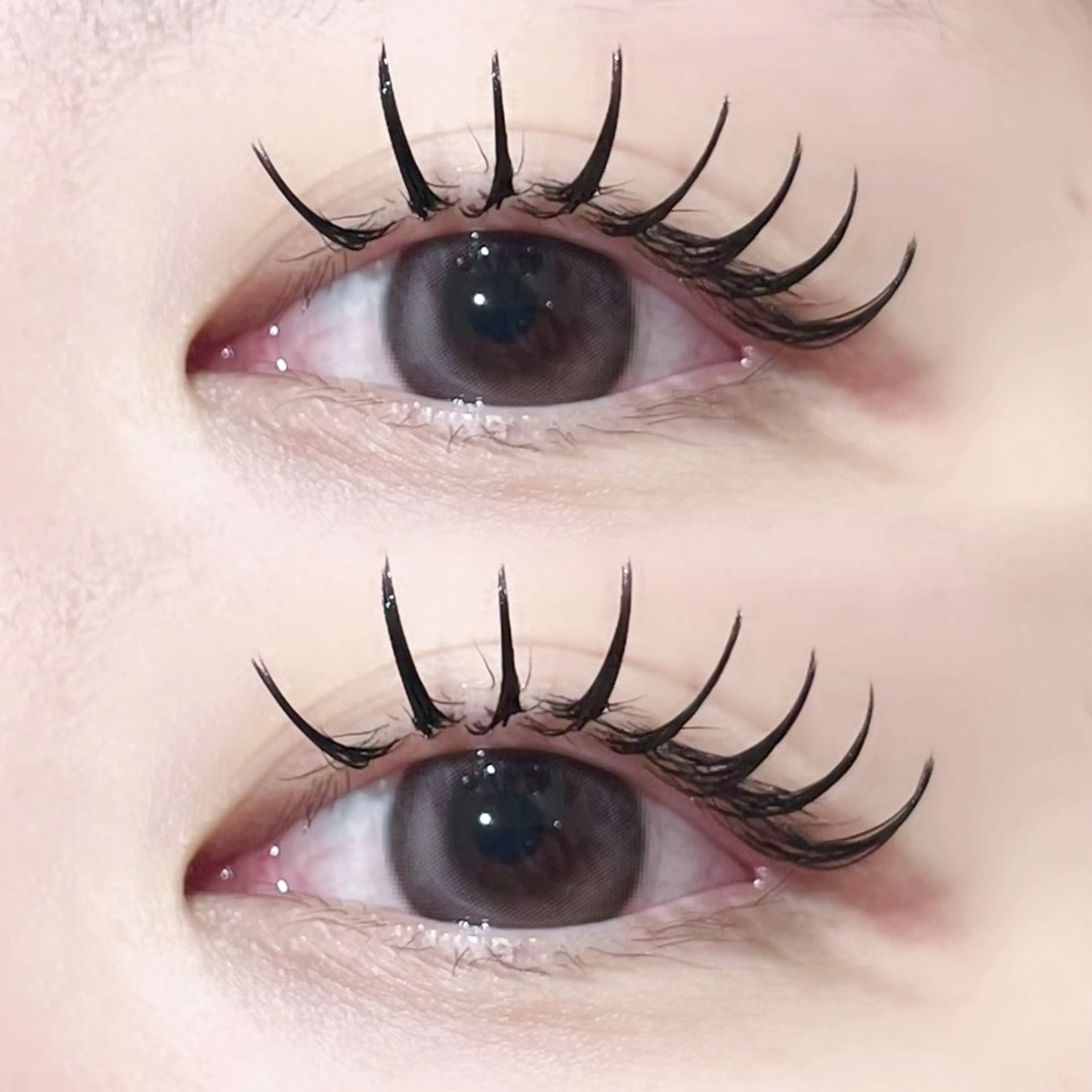 《🎀✨️大人気毛質✨️🎀》Premium  Flatlash  120本 ➳♡"の写真