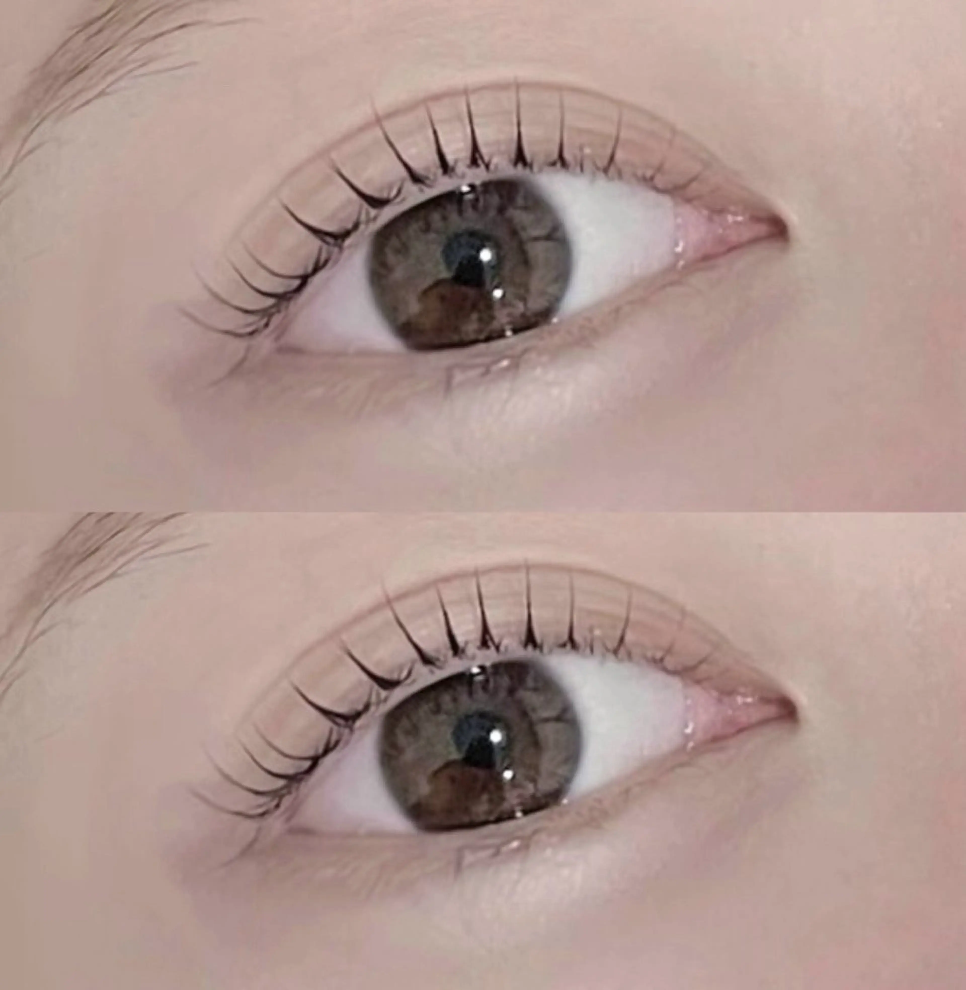 マツエク・マツパ unibrow rinaの眉毛・アイブロウイメージ