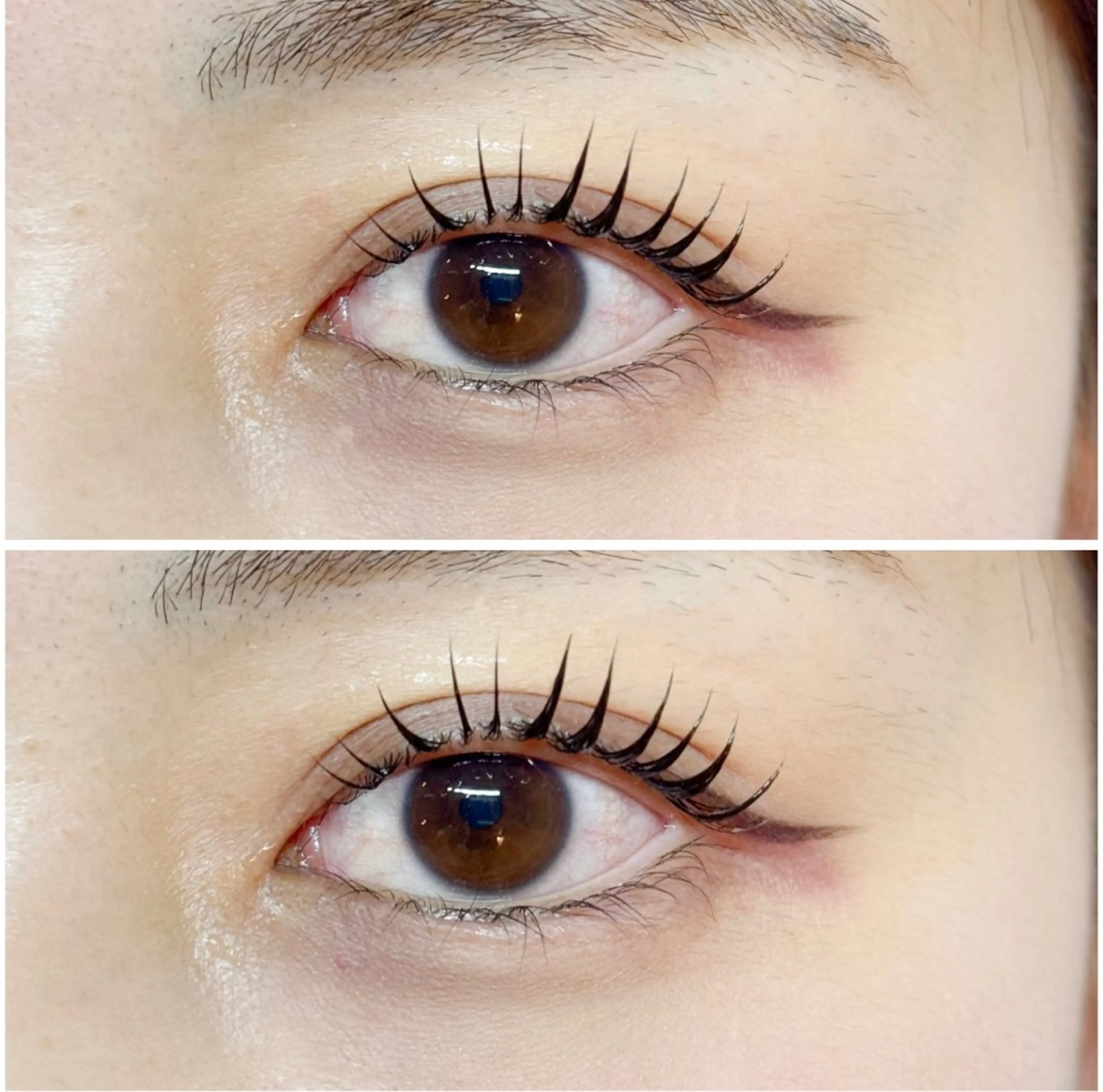 ☆上まつ毛ラッシュリフト&ブラックティントの写真