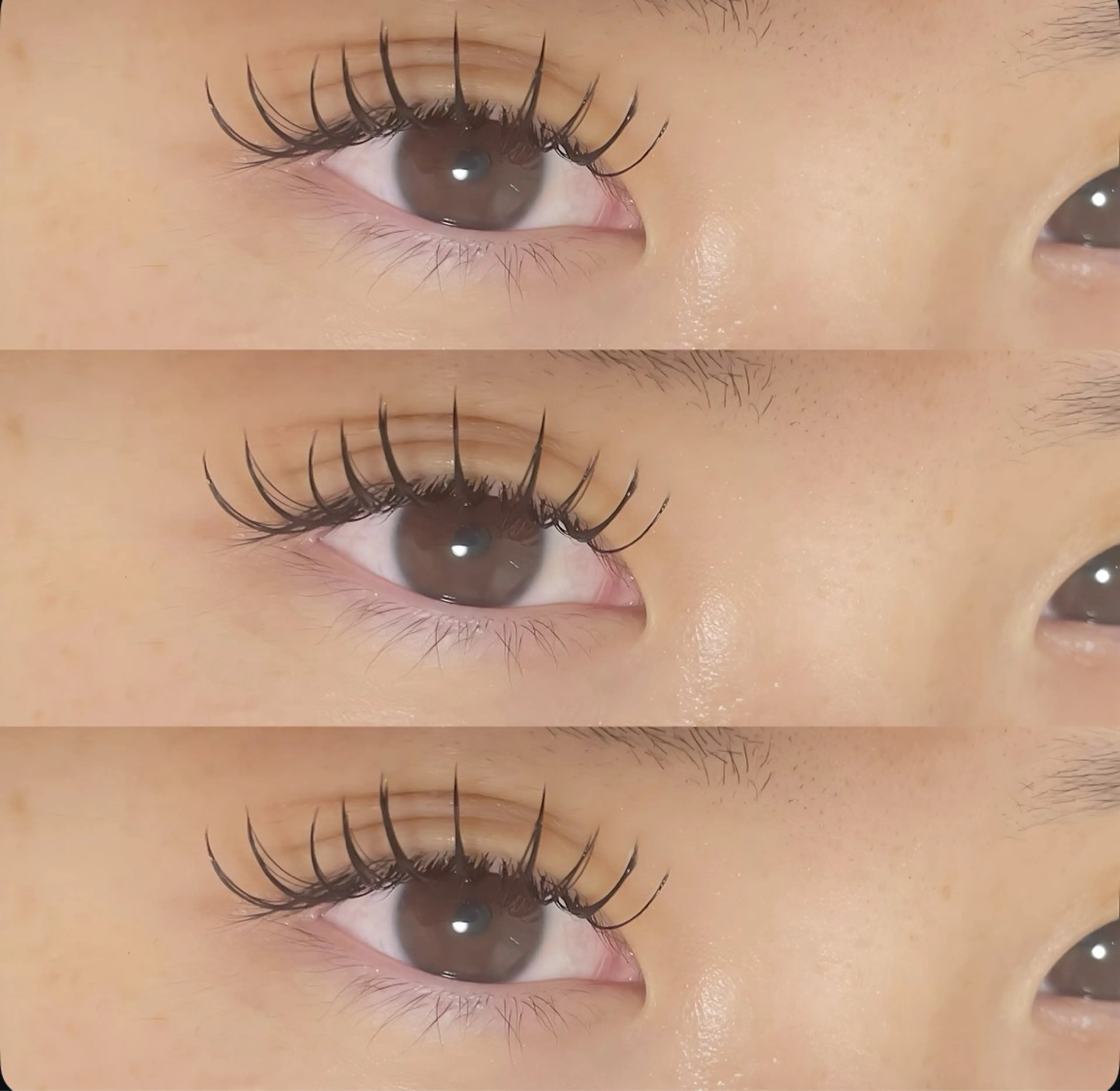 マツエク・マツパ 付け放題 束感まつ毛 フラットラッシュ マツエク Anjur 💫のマツエク・マツパデザイン