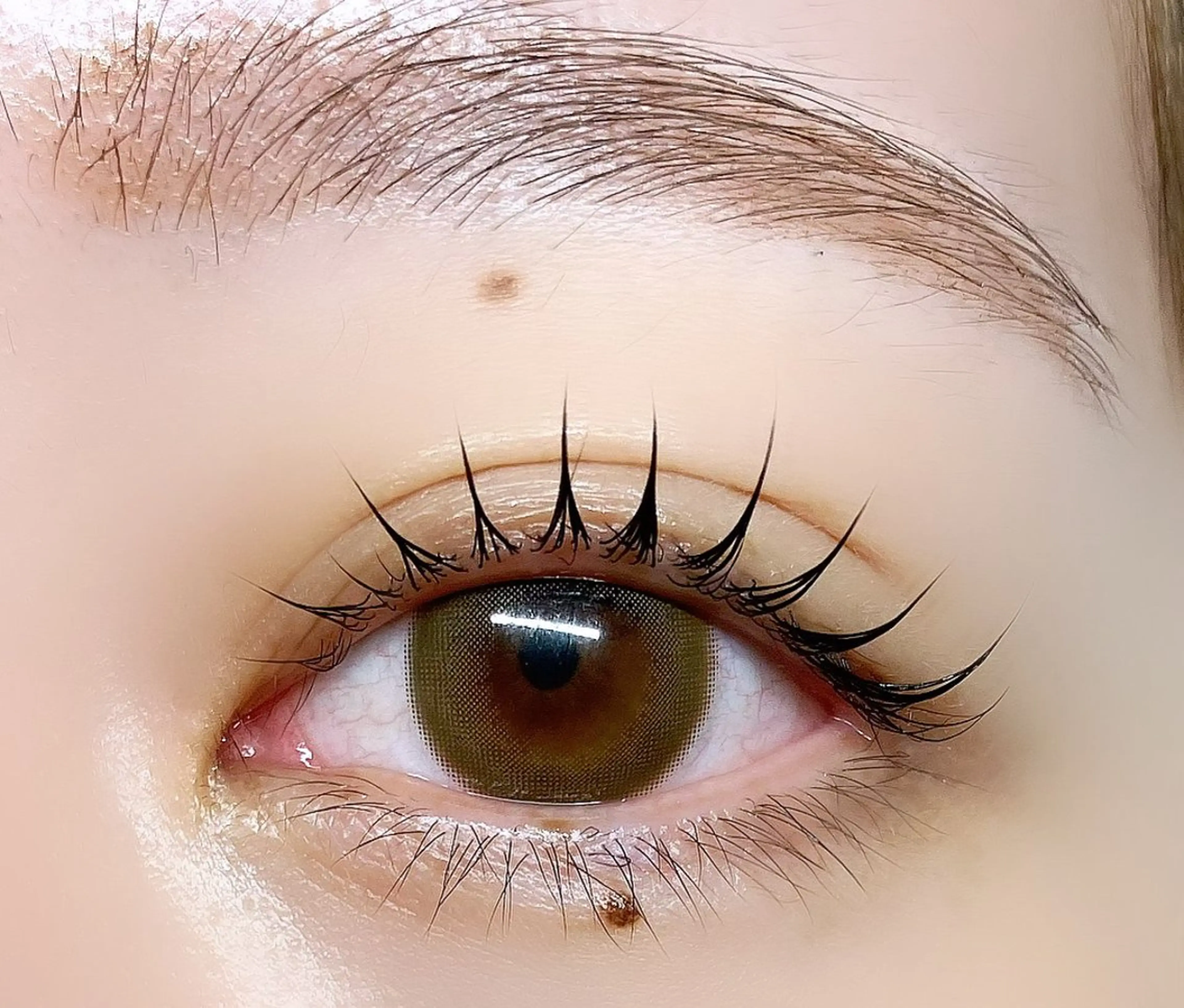 【アイシャンプー&美容液コーティング付】綺麗にお仕上げ✨うるうる🥺まつげパーマ🩵💙の写真