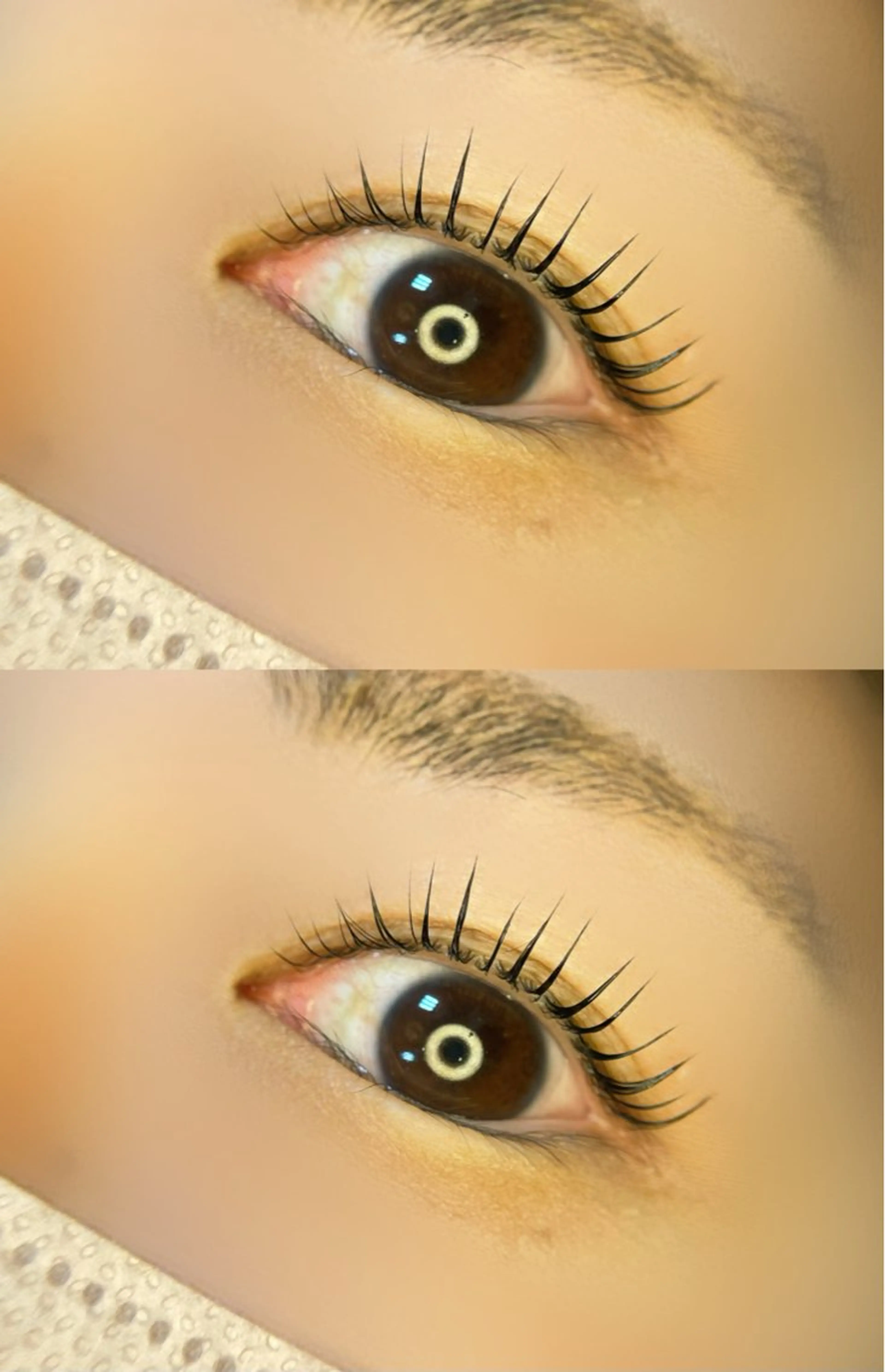 まつ毛パーマ（上カール+ティント.美容液）の写真