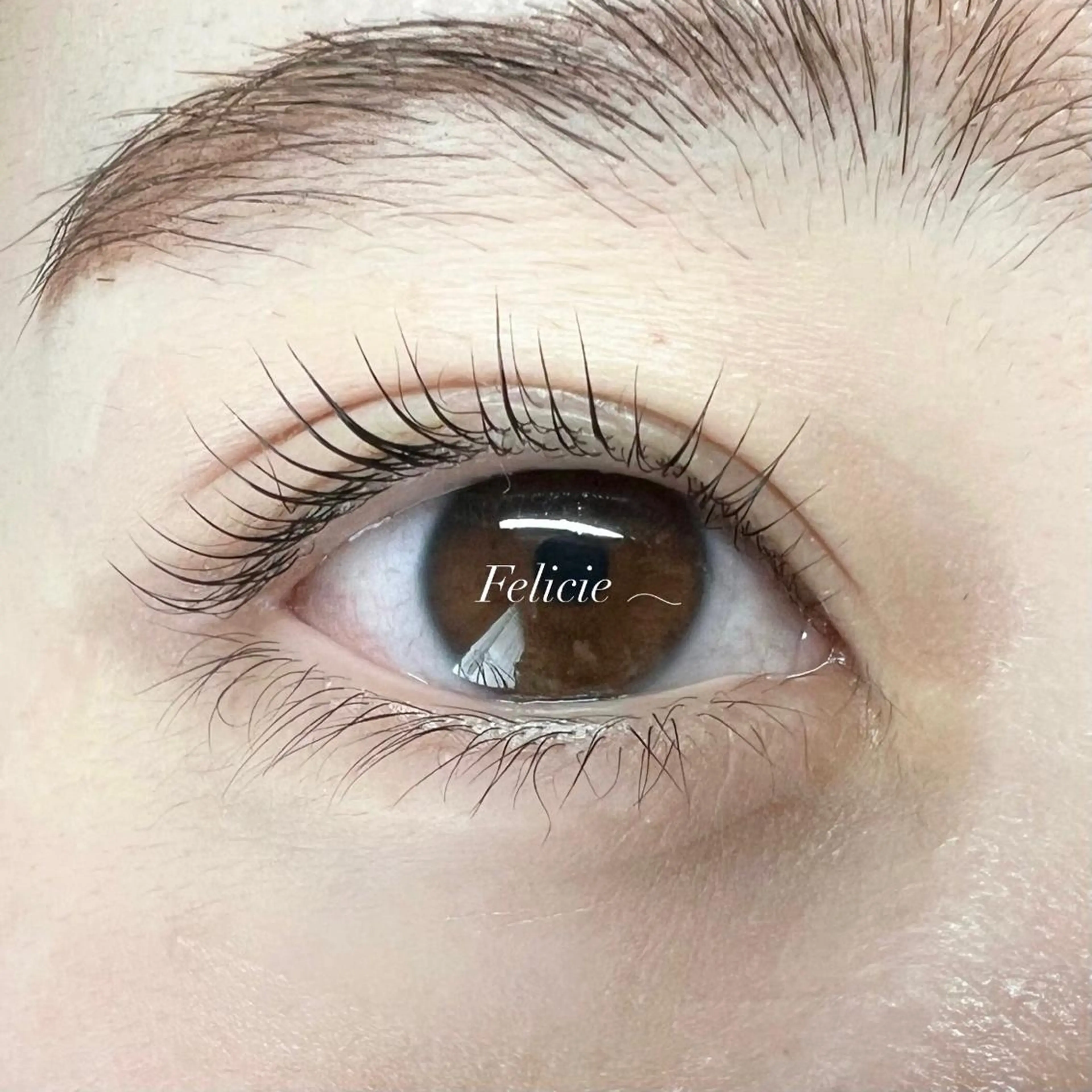 マツエク・マツパ パリジェンヌラッシュリフト Felicie＊ Sayakaのマツエク・マツパデザイン