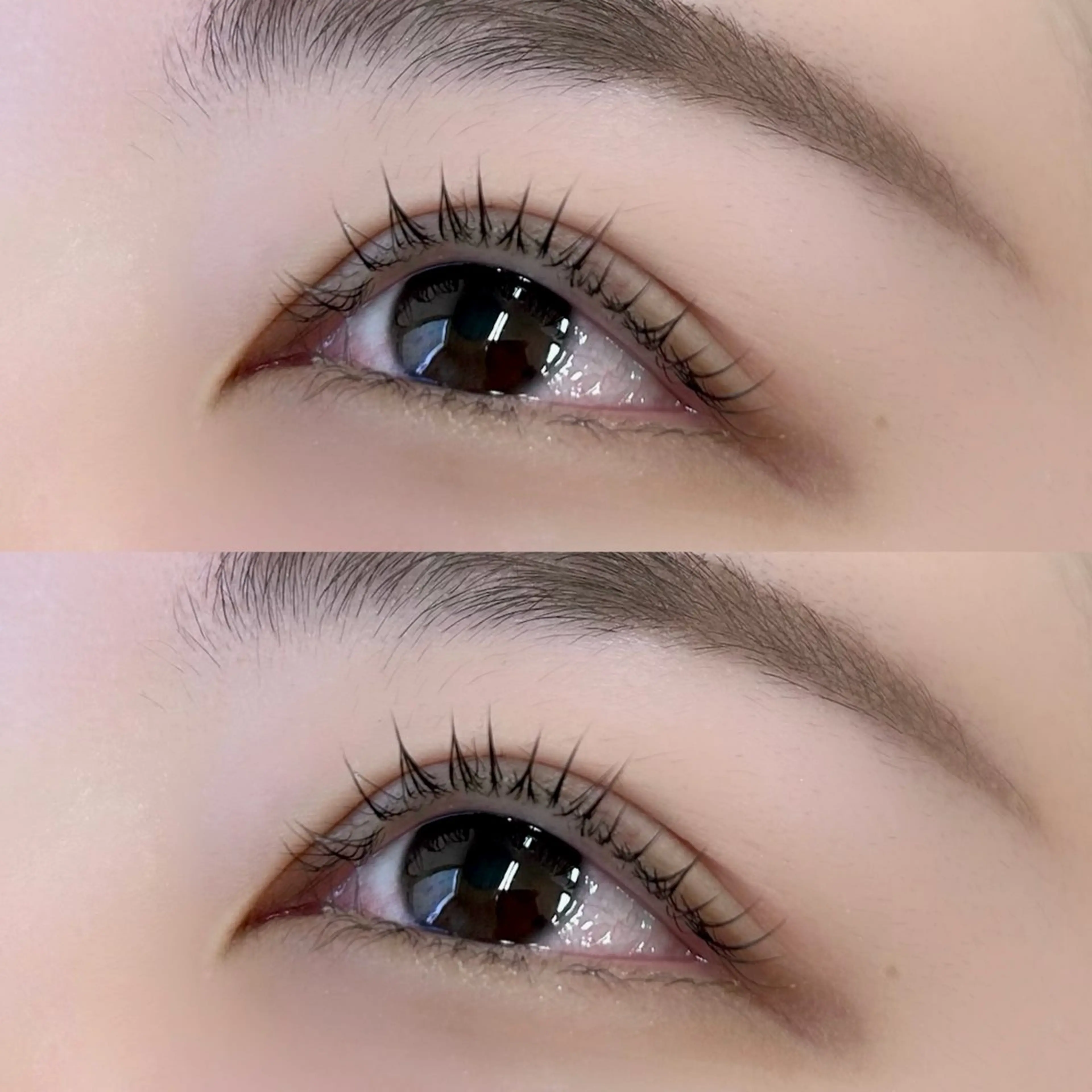 マツエク・マツパ 一重×まつ毛パーマ shucre Miyazakiのマツエク・マツパデザイン