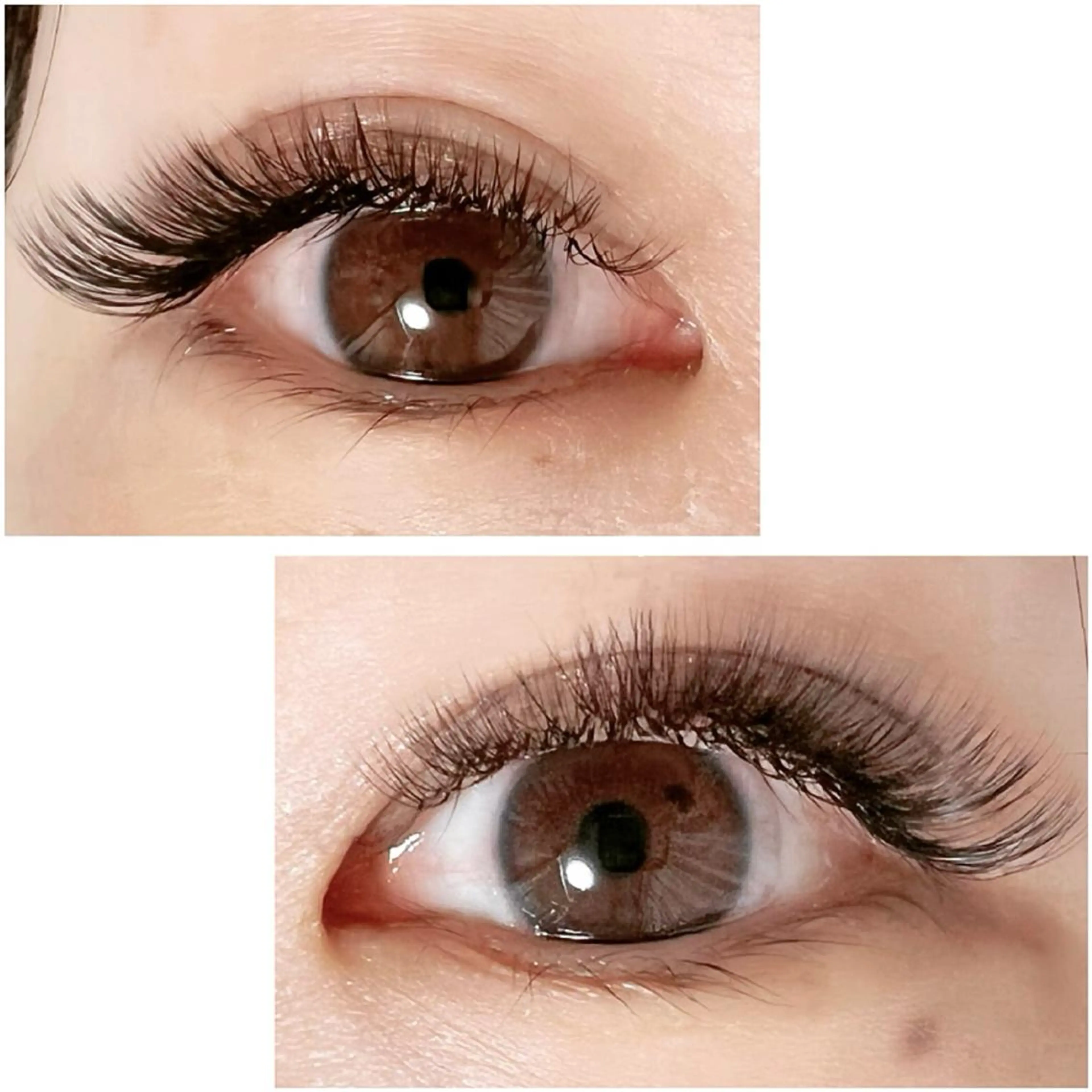 マツエク・マツパ マツエク Adorer 🍀アドレ🍀のマツエク・マツパデザイン