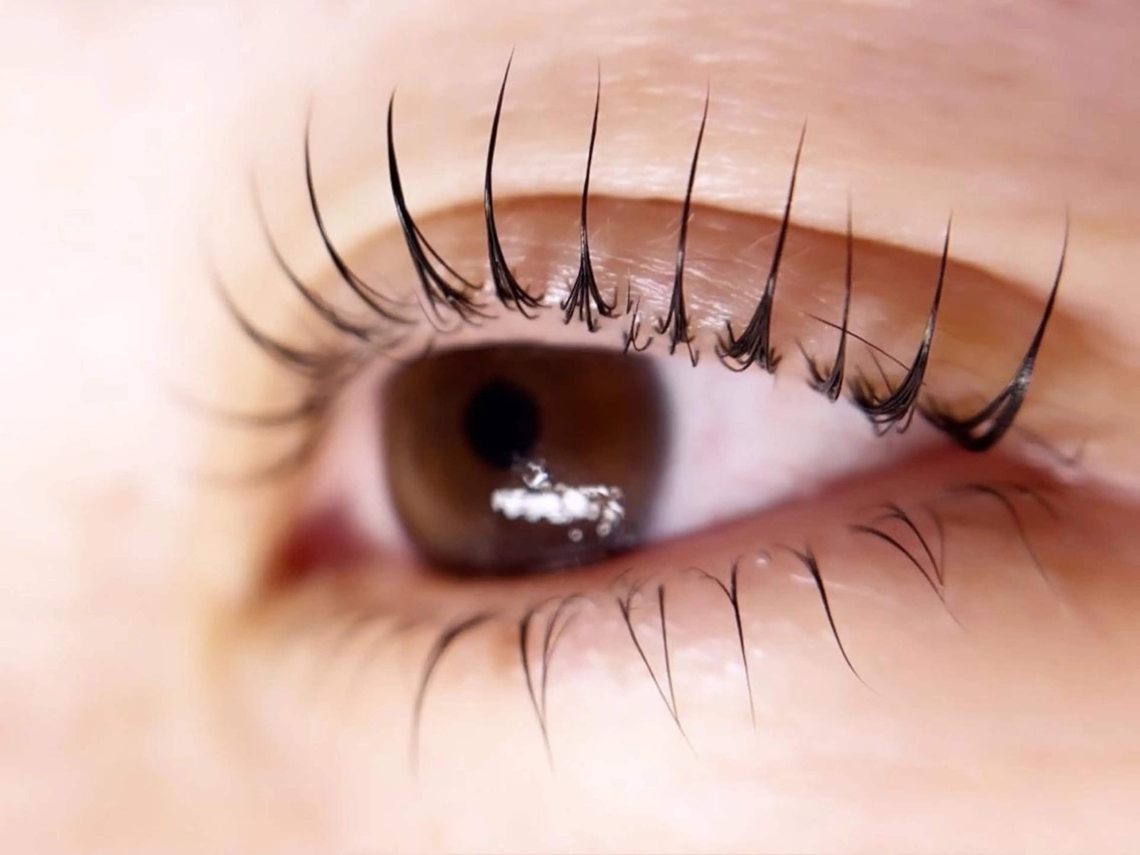 マツエク・マツパ 一重×まつ毛パーマ Liyone 橋本のマツエク・マツパデザイン