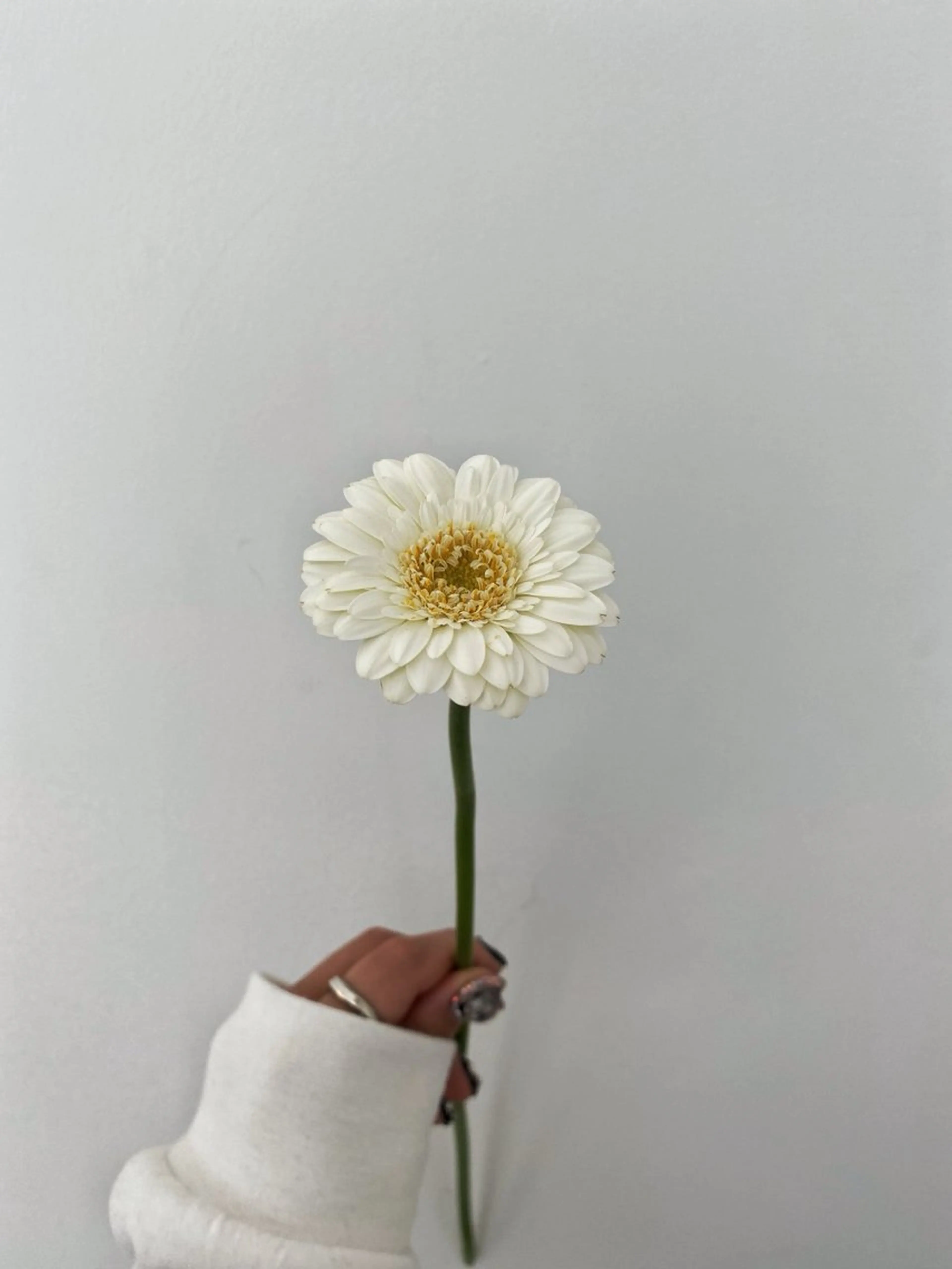 ヘアカラー トリートメント 🌻花屋併設🌻濱 幸帆のヘアスタイル