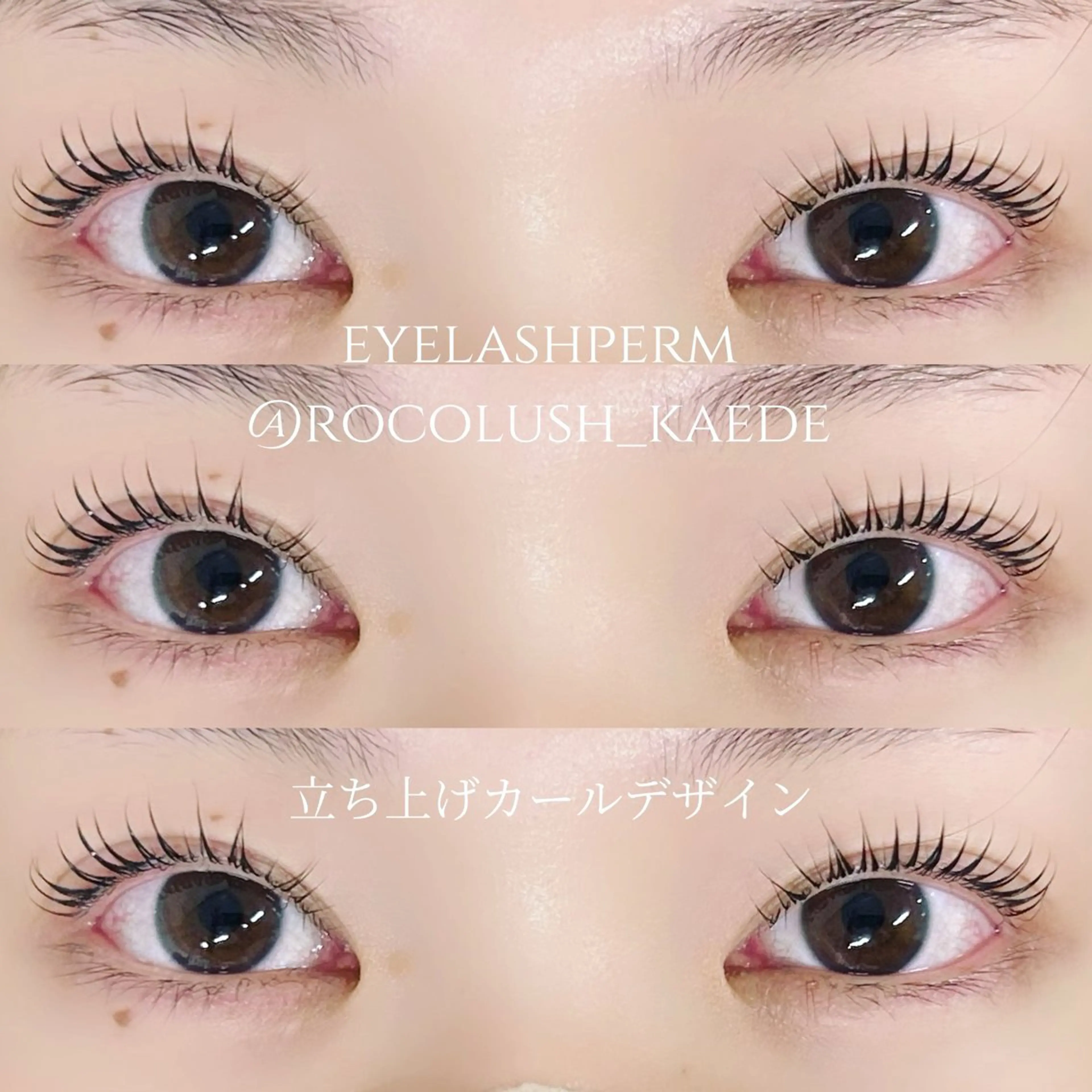 🤍ྀི【ラッシュアディクト付き】🤍ྀི上パリジェンヌorまつ毛パーマ上のみの写真