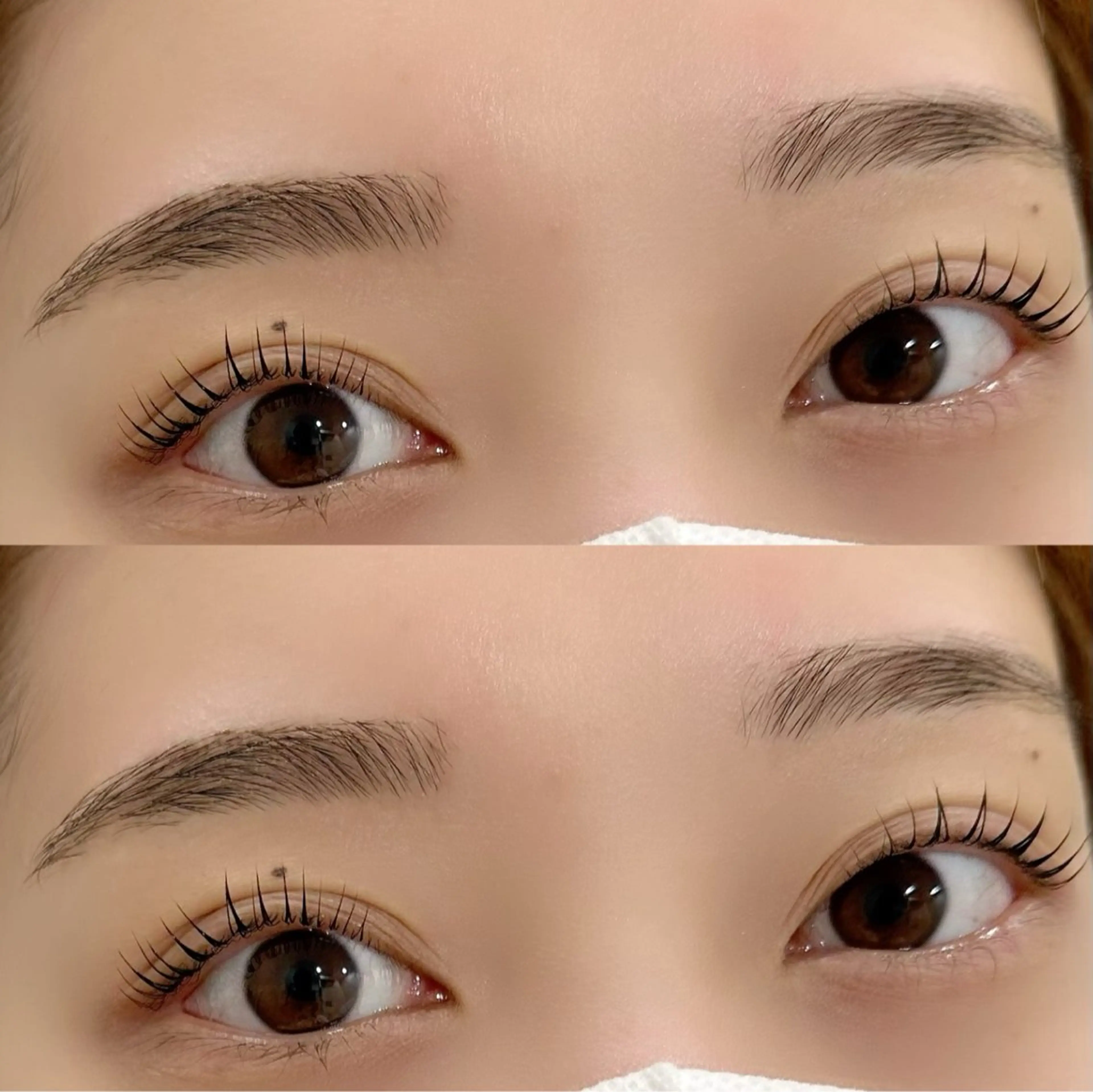 🤎ミニモ限定🤎まつ毛パーマ(デザインラッシュリフト&パリジェンヌラッシュリフト)&眉毛カット--✄--の写真