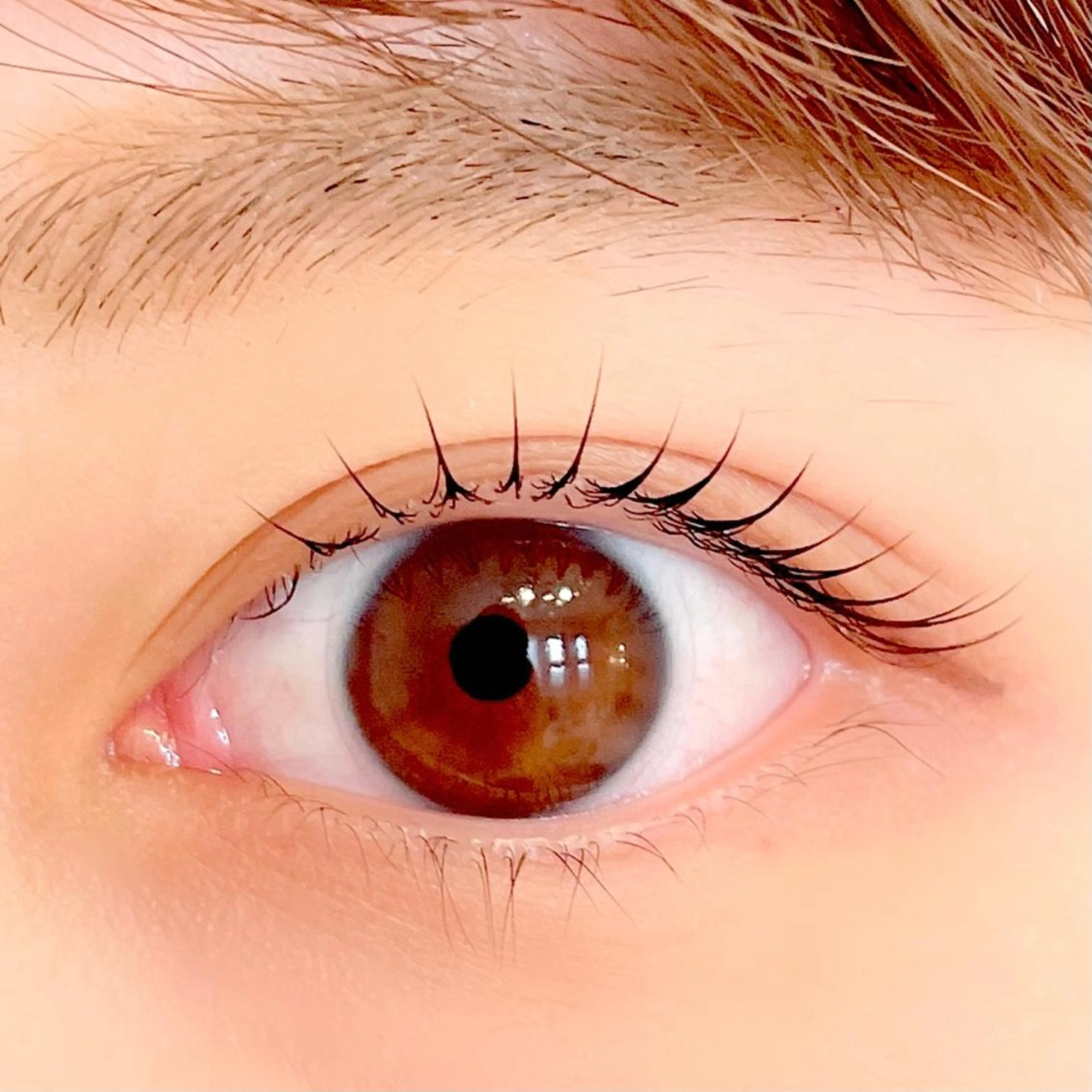 マツエク・マツパ ant_u🌷 arisaのマツエク・マツパデザイン