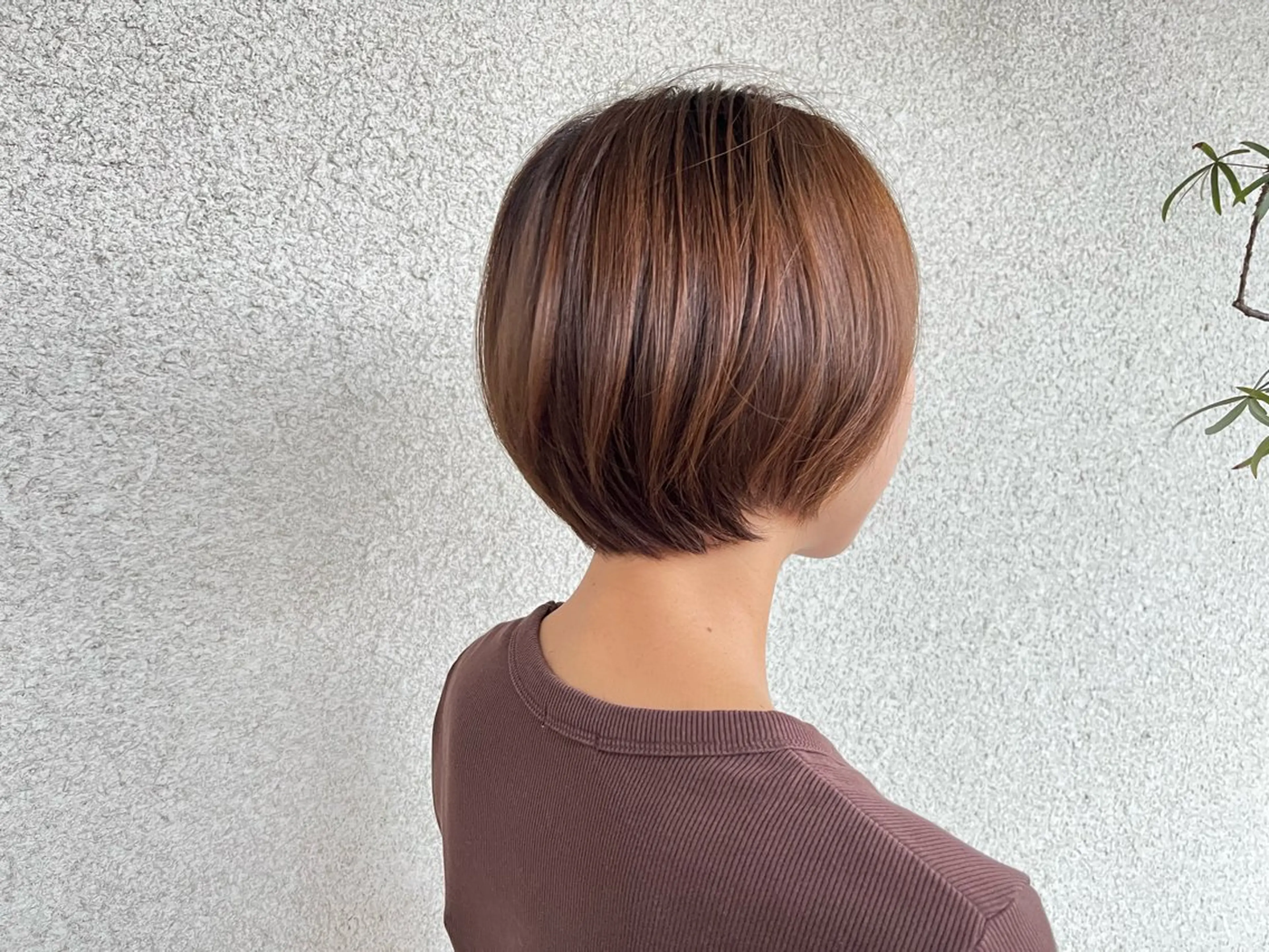 ショート 松本 茜のヘアスタイル