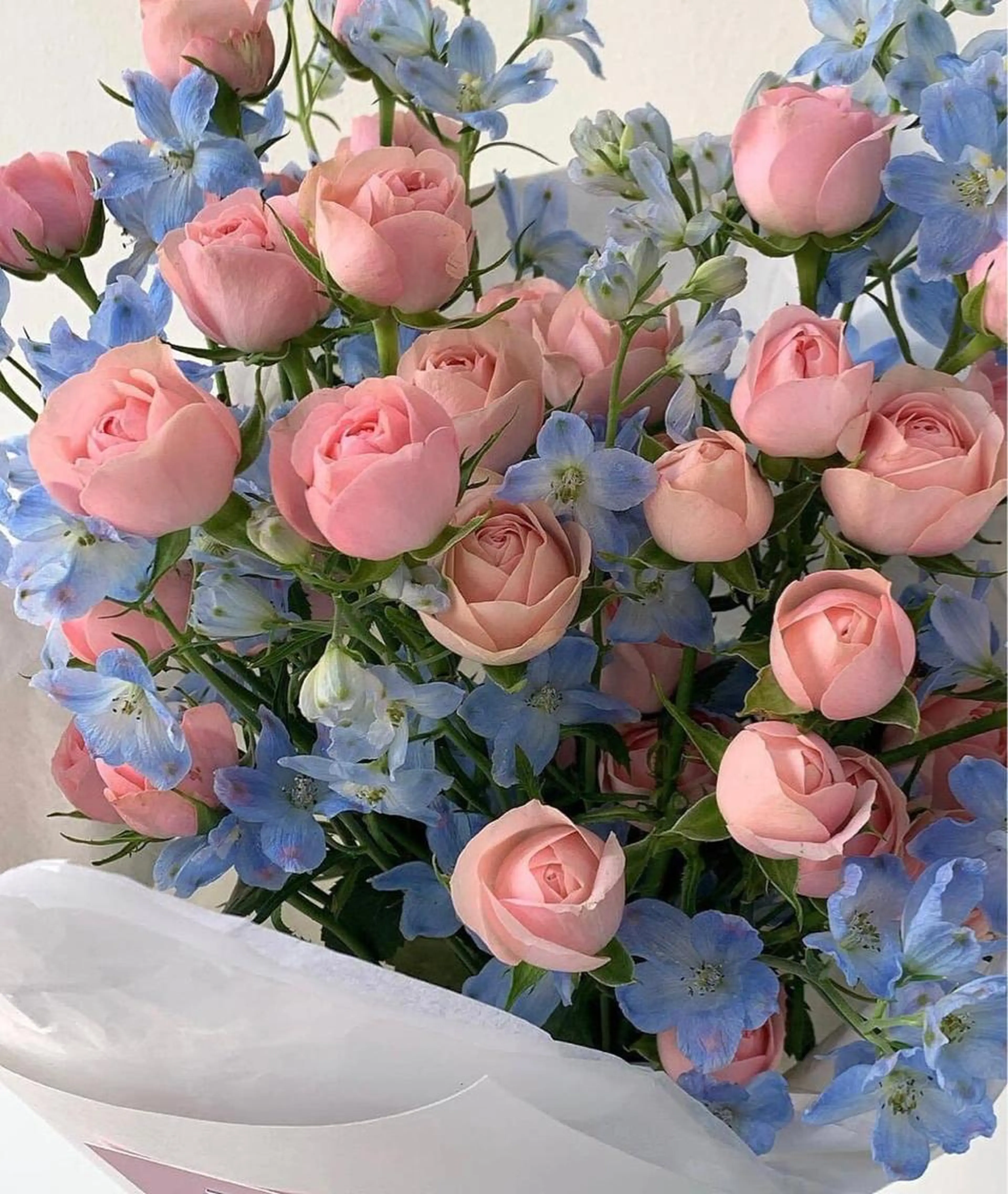 U24限定💜まつげパーマ上のみ💜（上下希望はお伝えください！）の写真