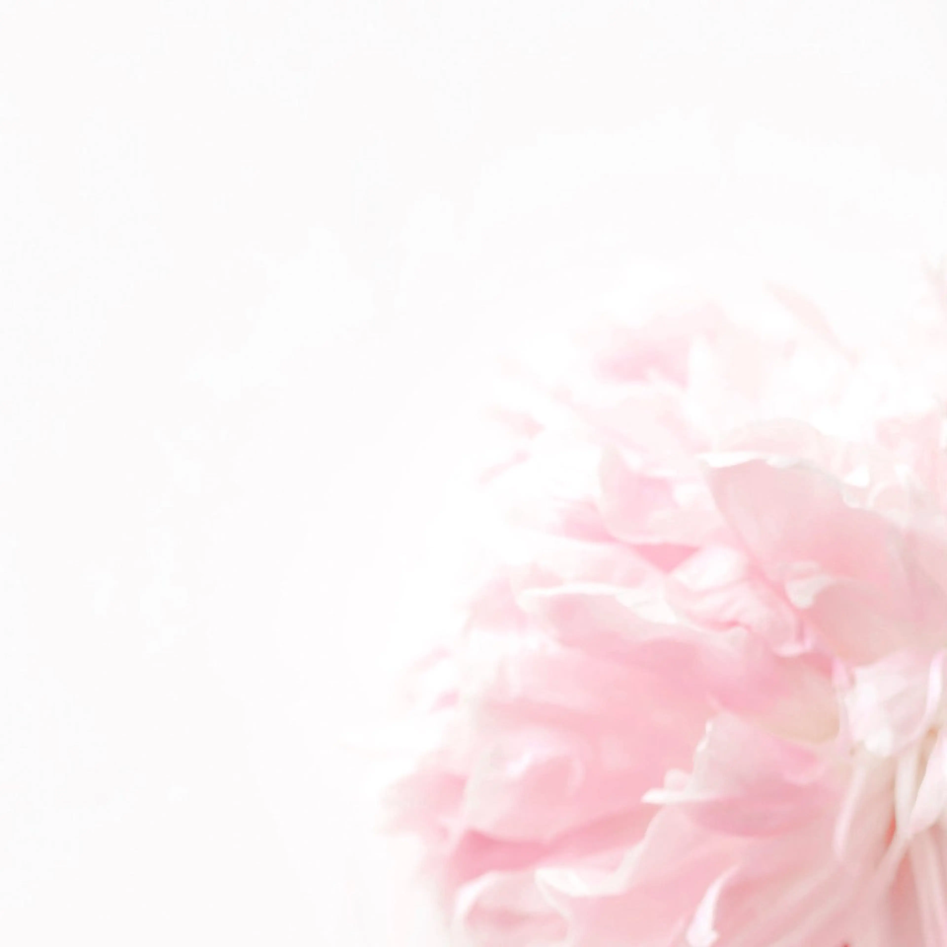 TIÁM eyelashのマツエク・マツパデザイン