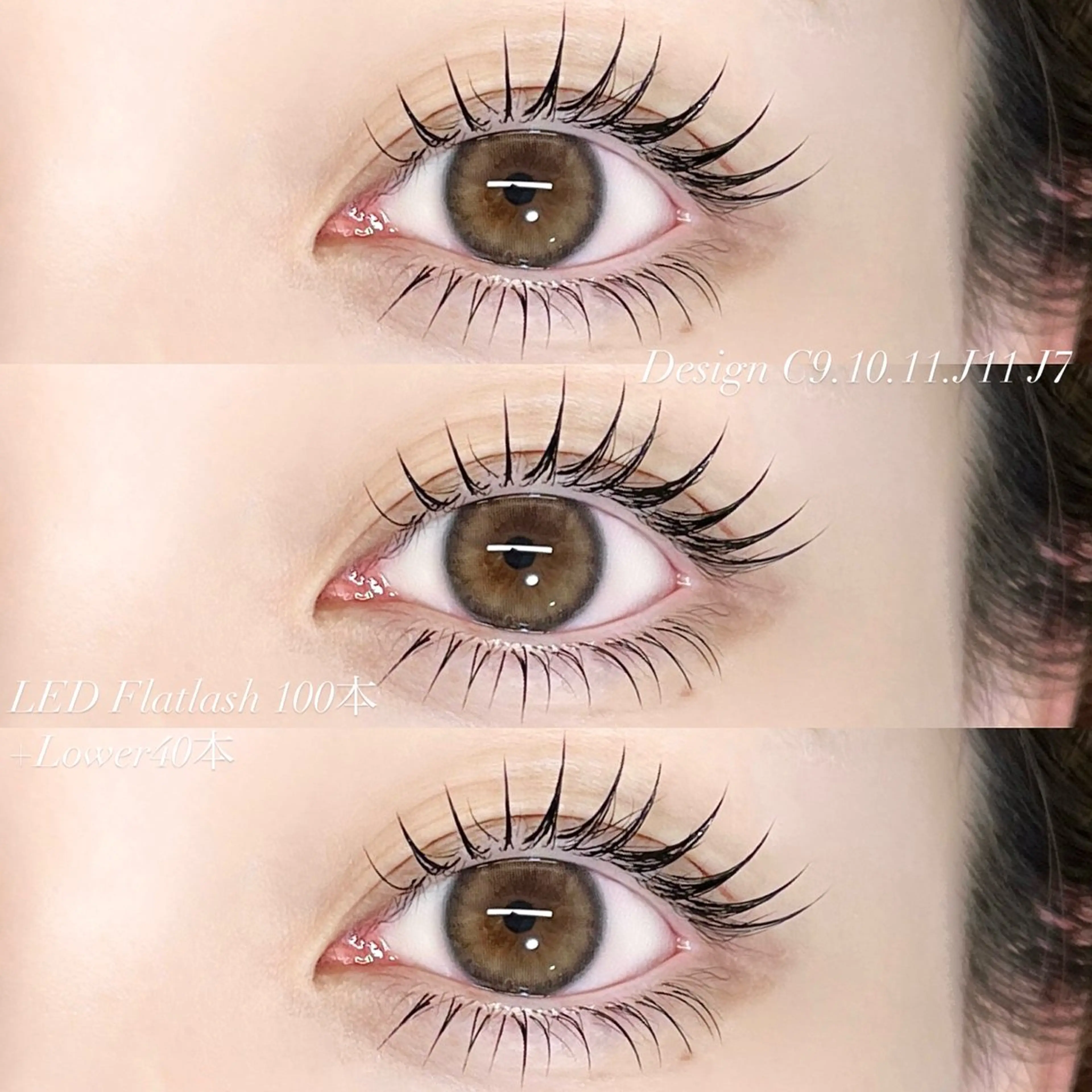 フラットラッシュ100本の写真
