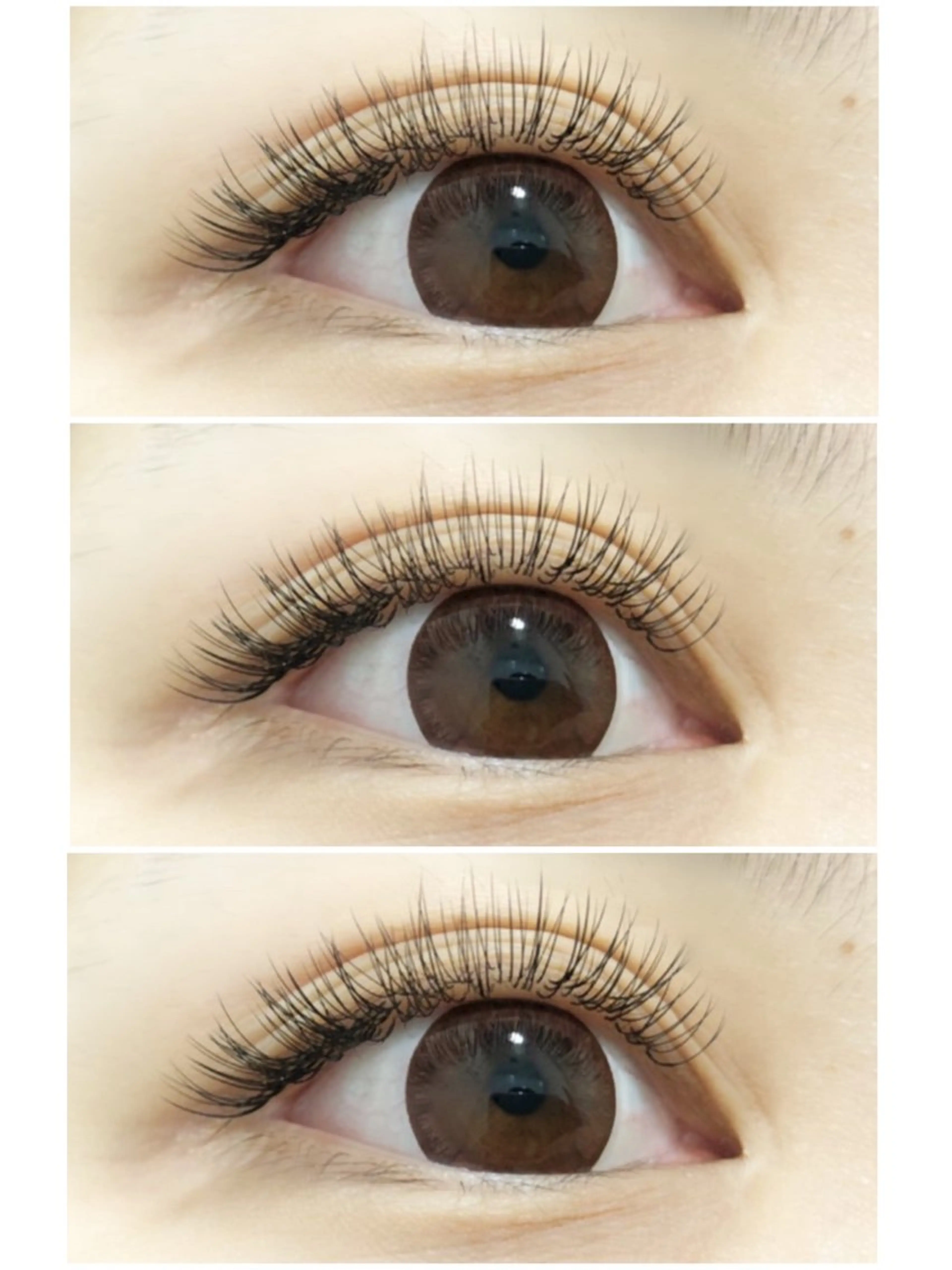 5日6日限定‼️"LEDエクステ"驚きの4つの効果(1.持ち◎2.扱い◎3.形◎4.オイル◎)140本オフ込¥6650の写真