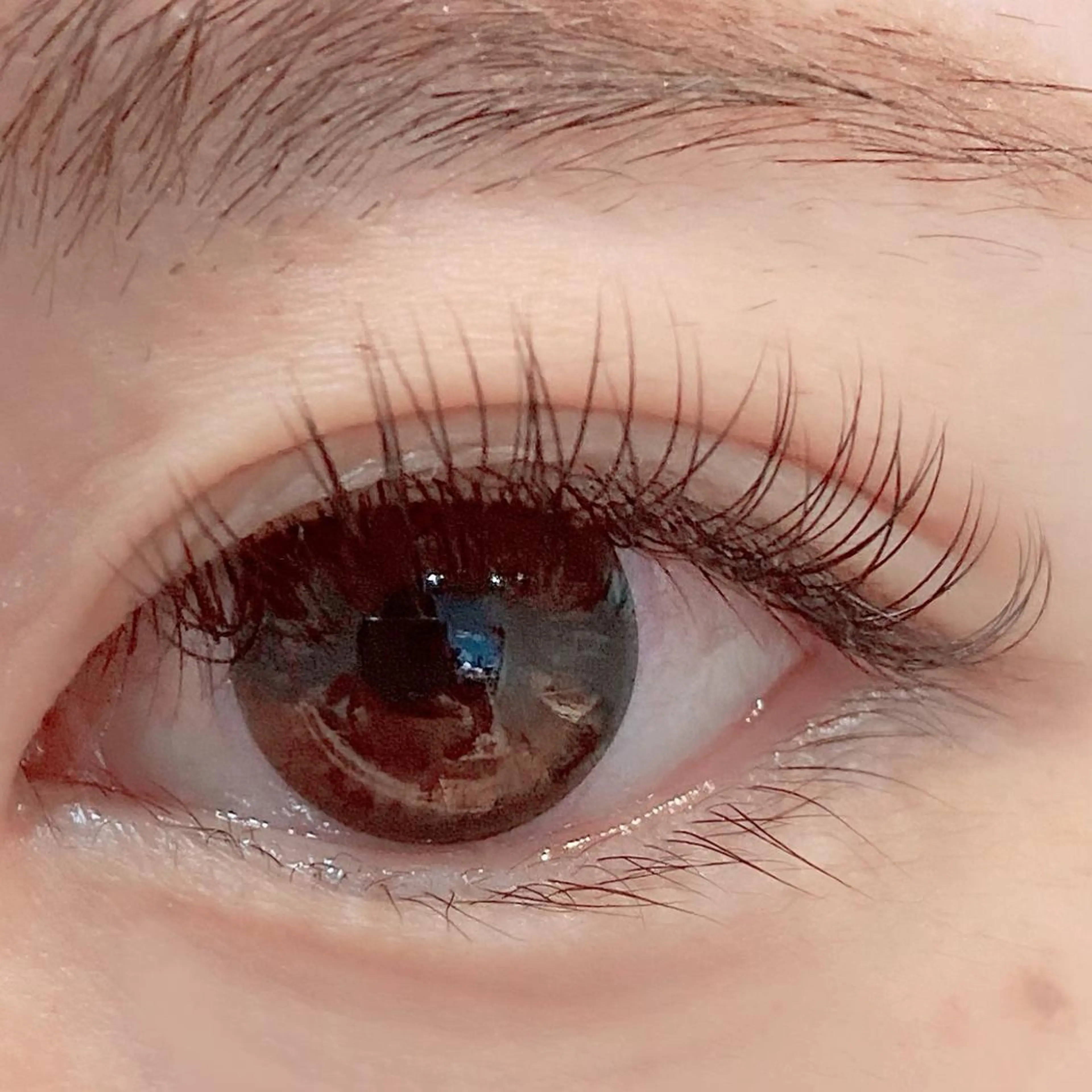 マツエク・マツパ フラットラッシュ アップワードラッシュ Bianca 長津田店　長牛の眉毛・アイブロウイメージ