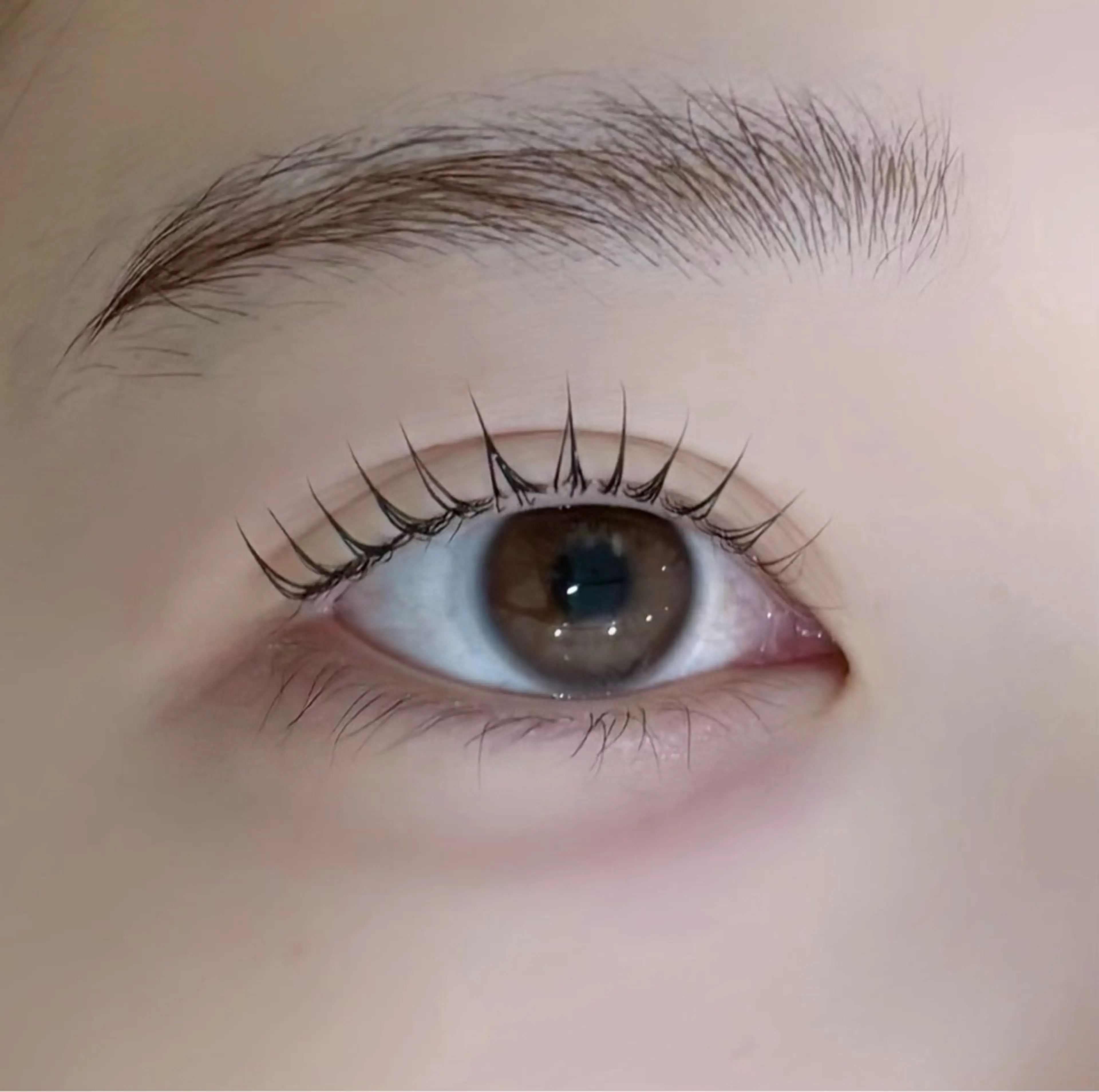 マツエク・マツパ パリジェンヌラッシュリフト マツパ LUNELLA☾ ໋ SANKAのマツエク・マツパデザイン