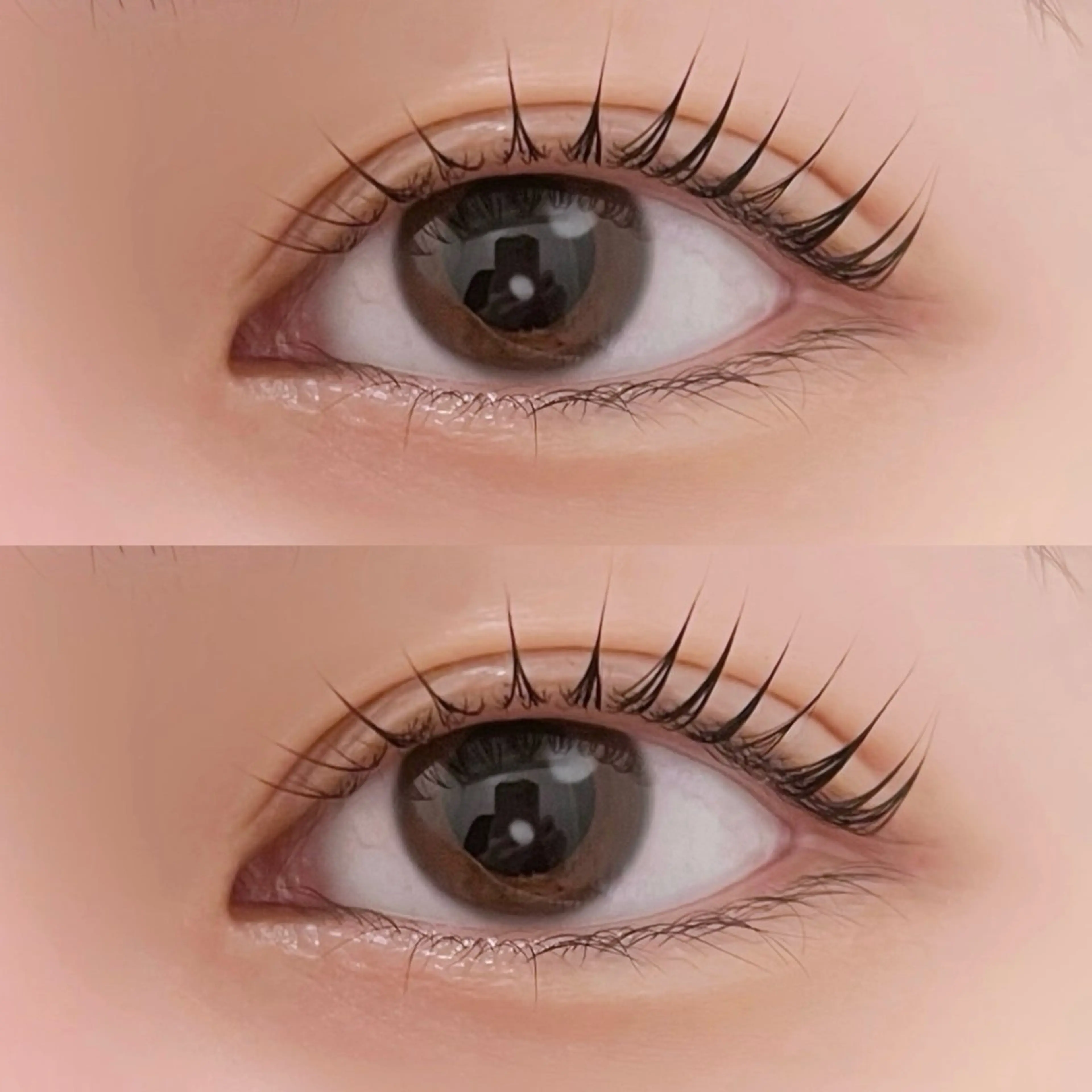 minimo限定／𝐏𝐀𝐑𝐈𝐒𝐈𝐄𝐍𝐍𝐄(パリジェンヌ)／𝐋𝐚𝐬𝐡𝐥𝐢𝐟𝐭の写真