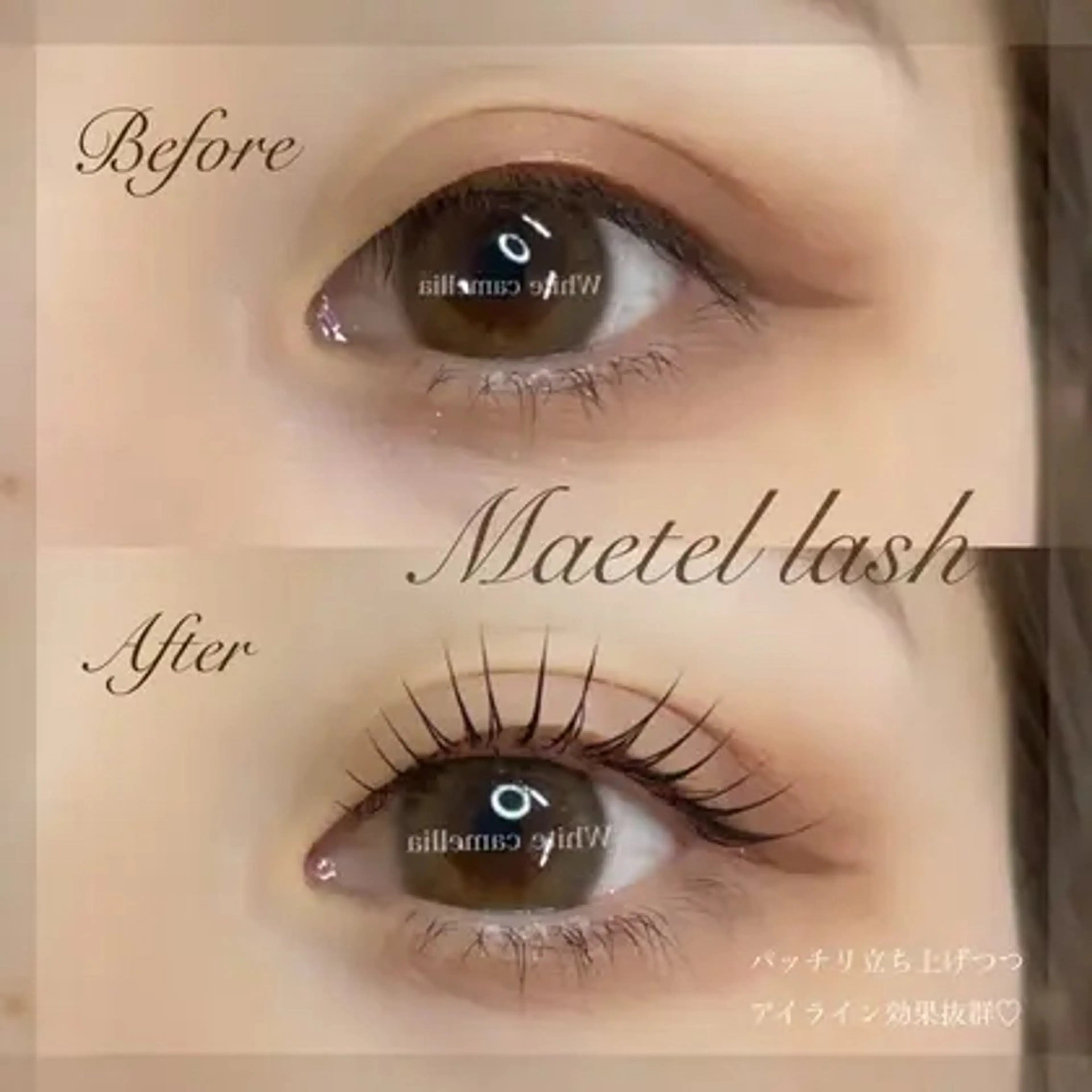 マツエク・マツパ miyu/圧倒的モチ /韓国風束感のマツエク・マツパデザイン