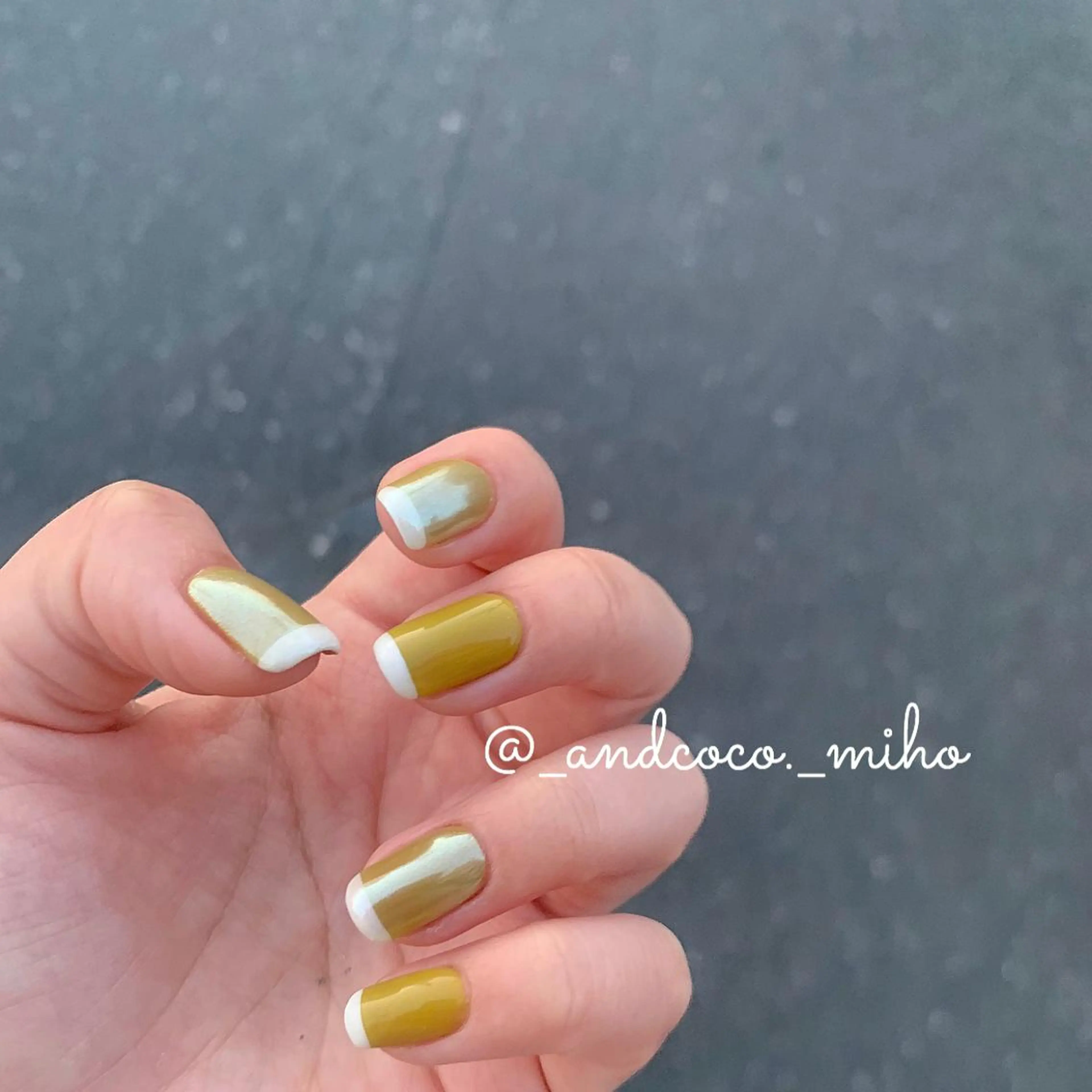 ネイル オーロラネイル ハンドネイル Nailist〻 mihoのネイルデザイン