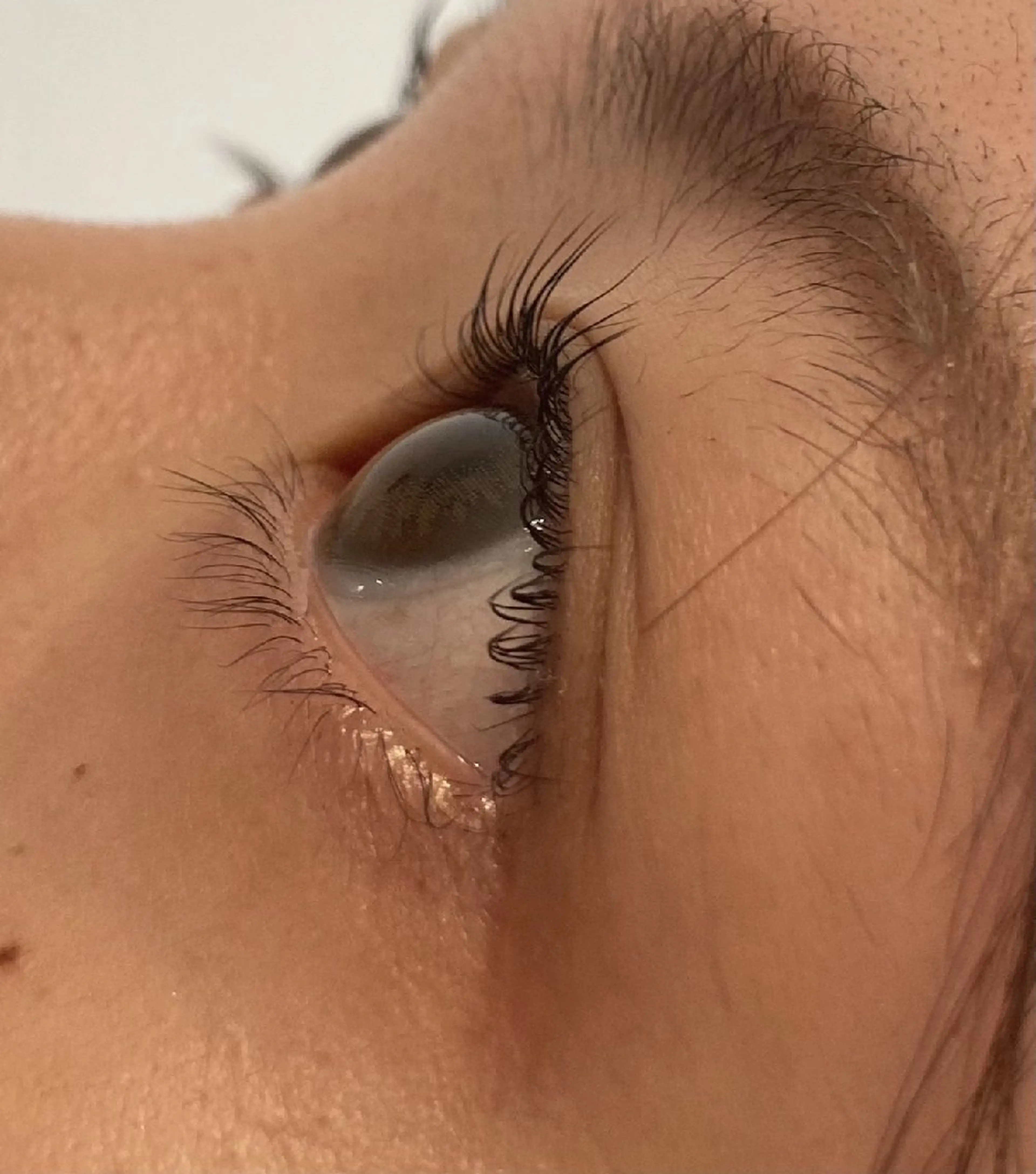 マツエク・マツパ 一重×まつ毛パーマ himawari Leiのマツエク・マツパデザイン