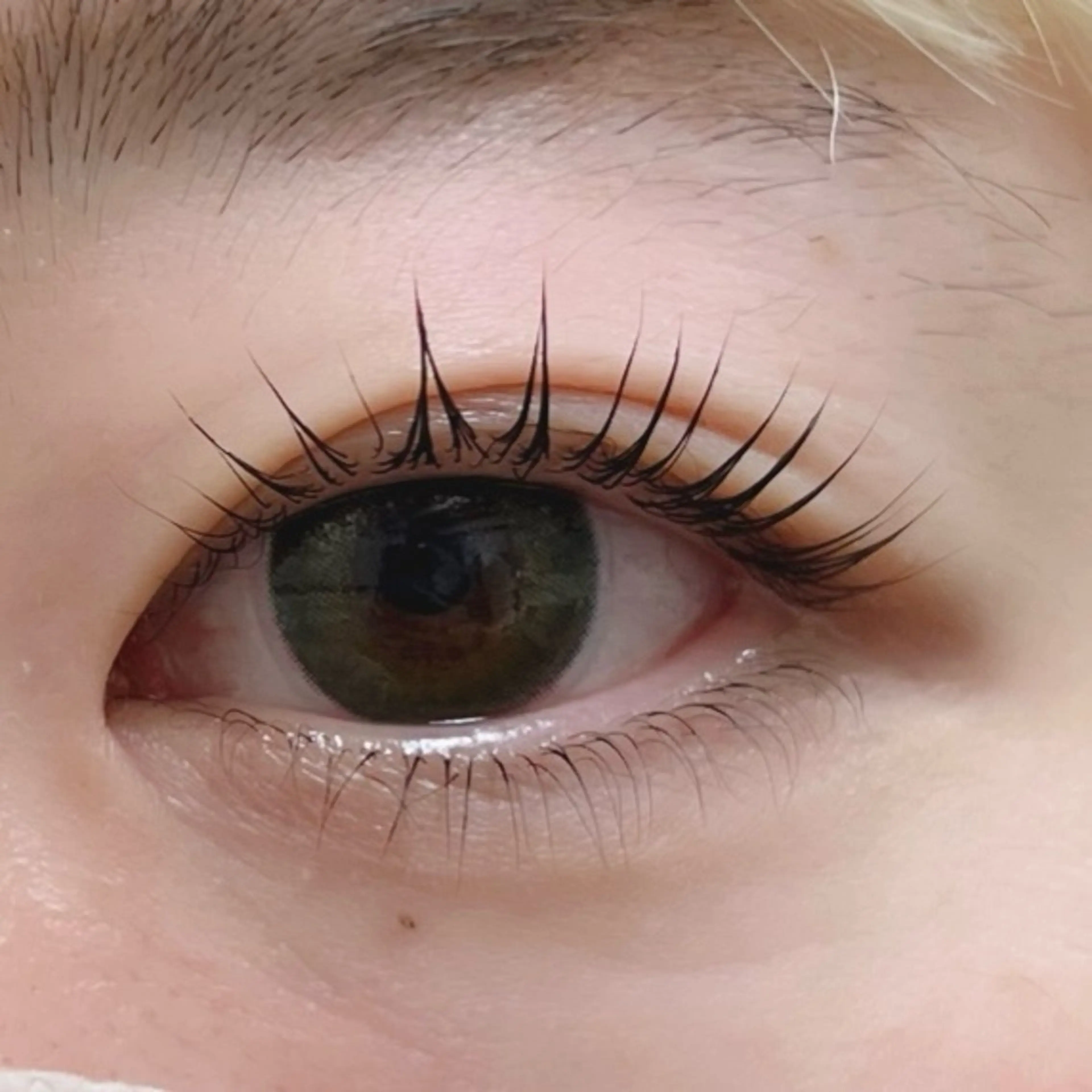 マツエク・マツパ Moe/韓国風/ 束感/キュート❤︎の眉毛・アイブロウイメージ