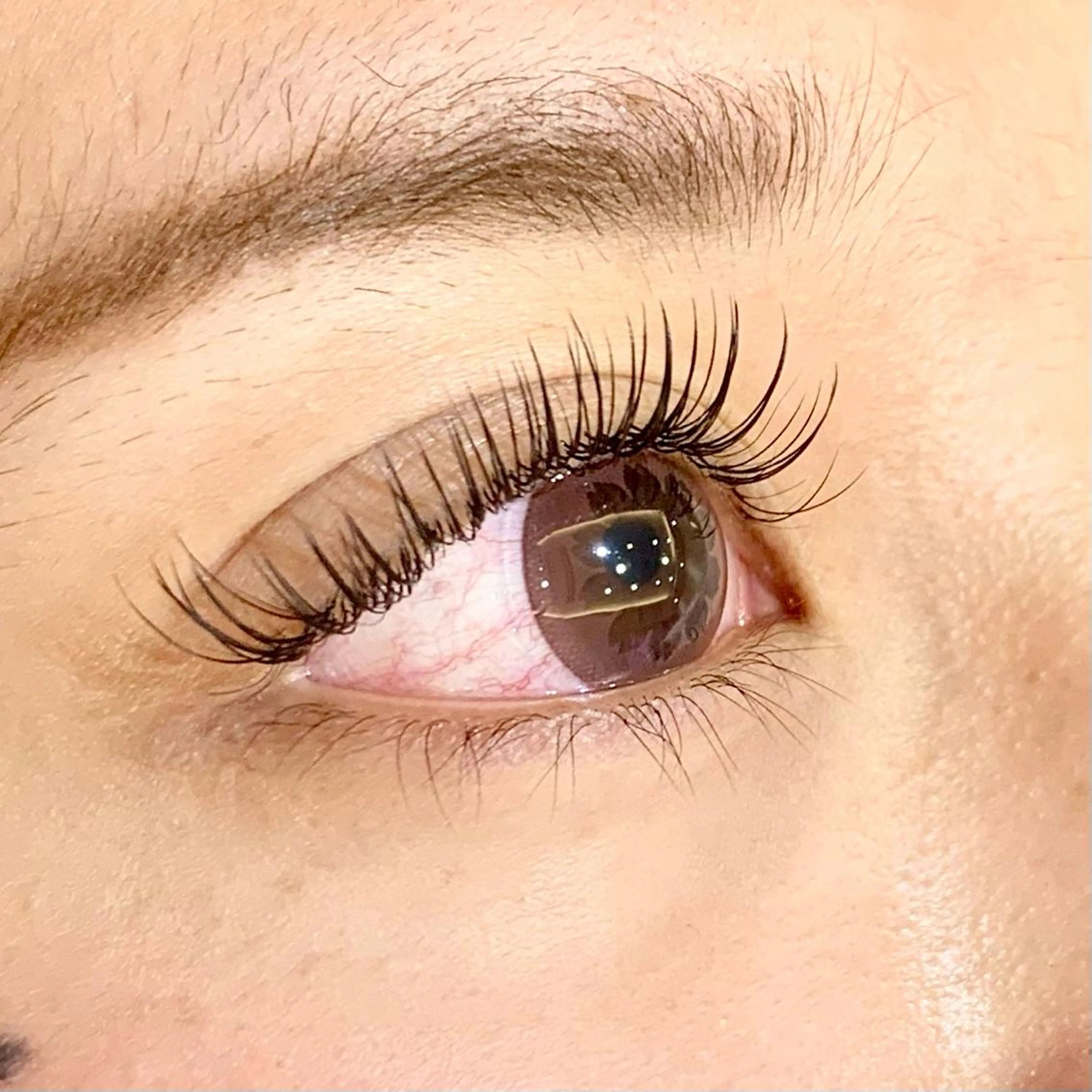 マツエク・マツパ ナチュラル Fukushi📍 【5/31最終出勤】のマツエク・マツパデザイン