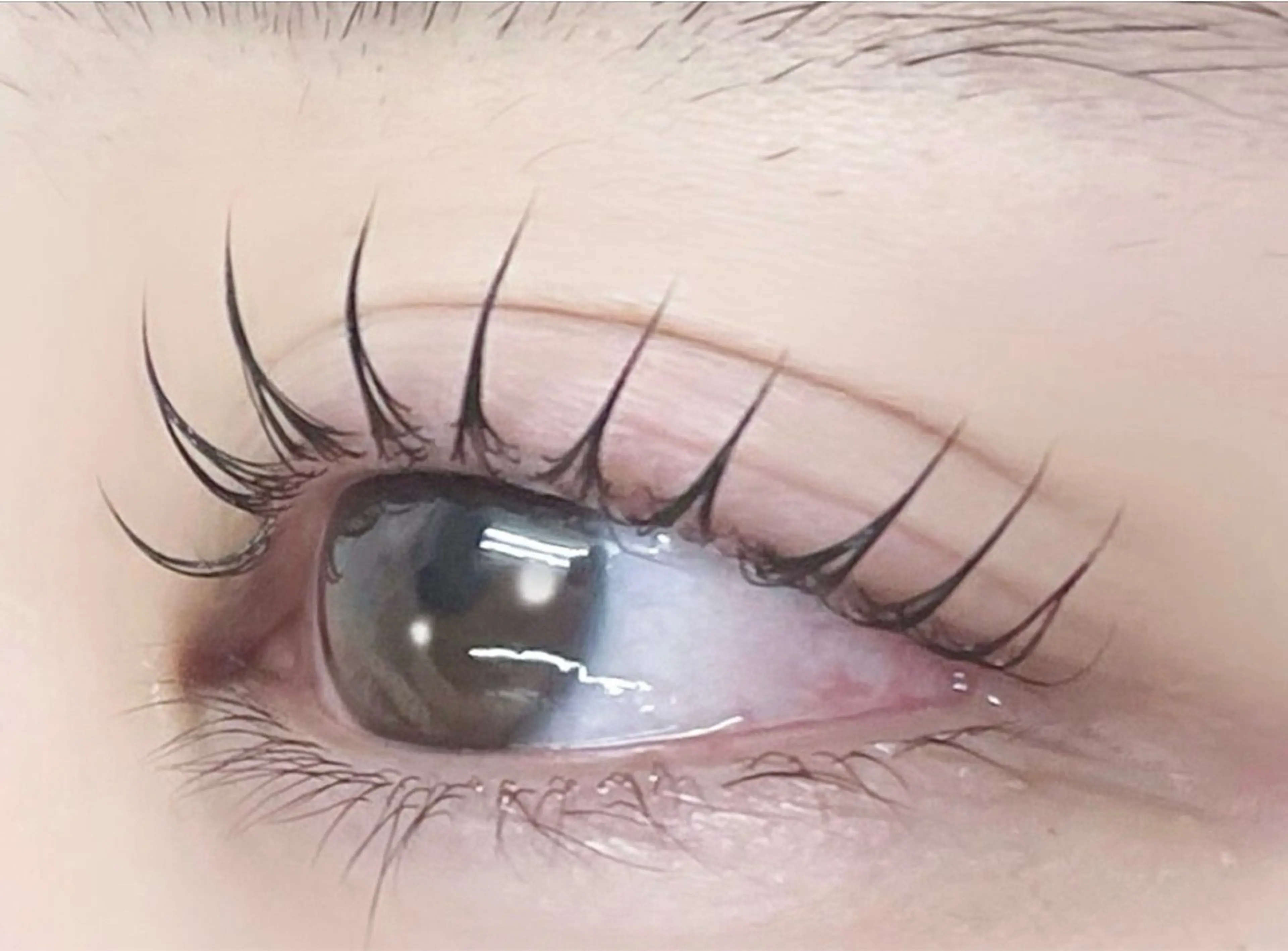 マツエク・マツパ アラモード樟葉店所属・a la mode maikaのマツエク・マツパデザイン