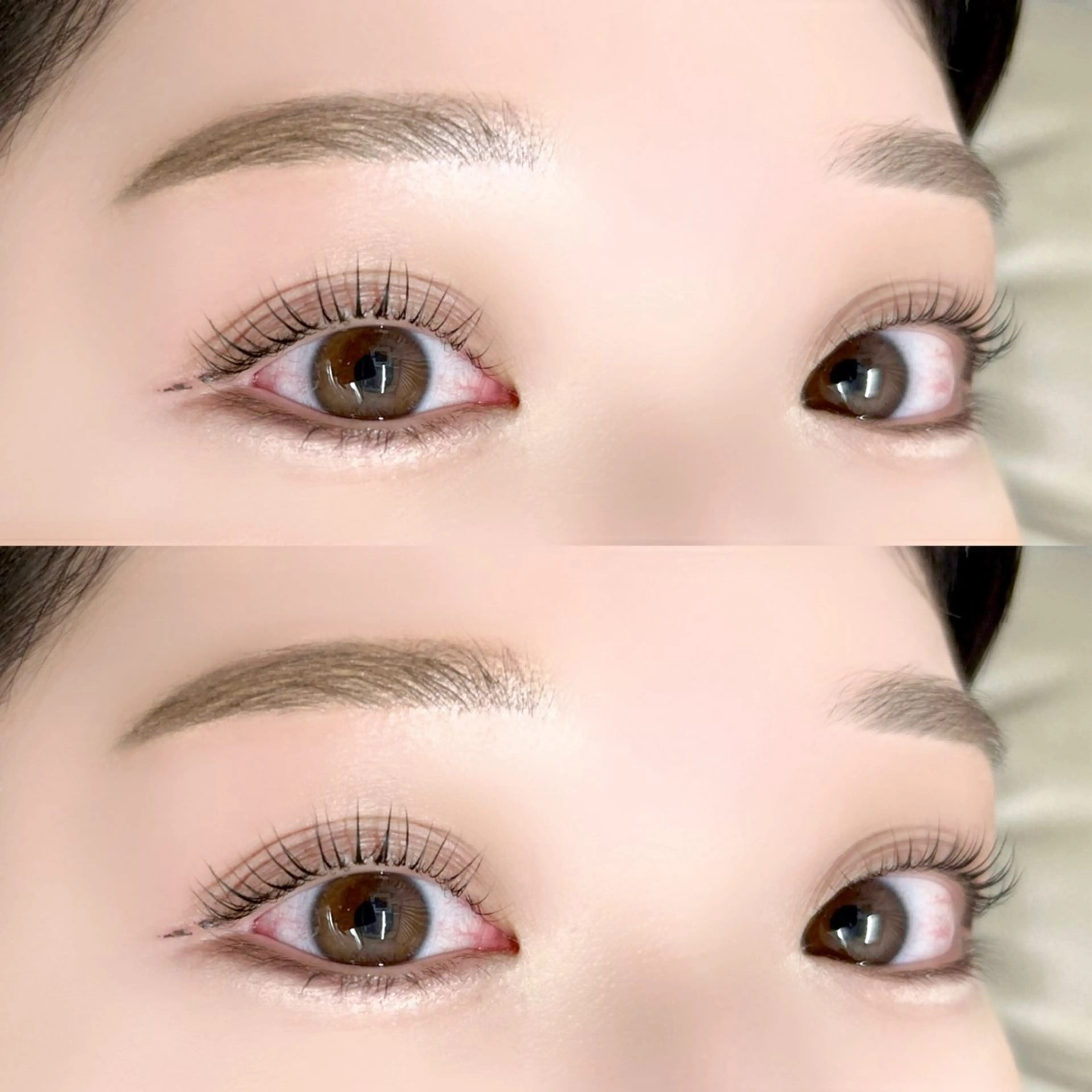 13日限定‼️🛼パリジェンヌ➕アイブロウ🛼の写真