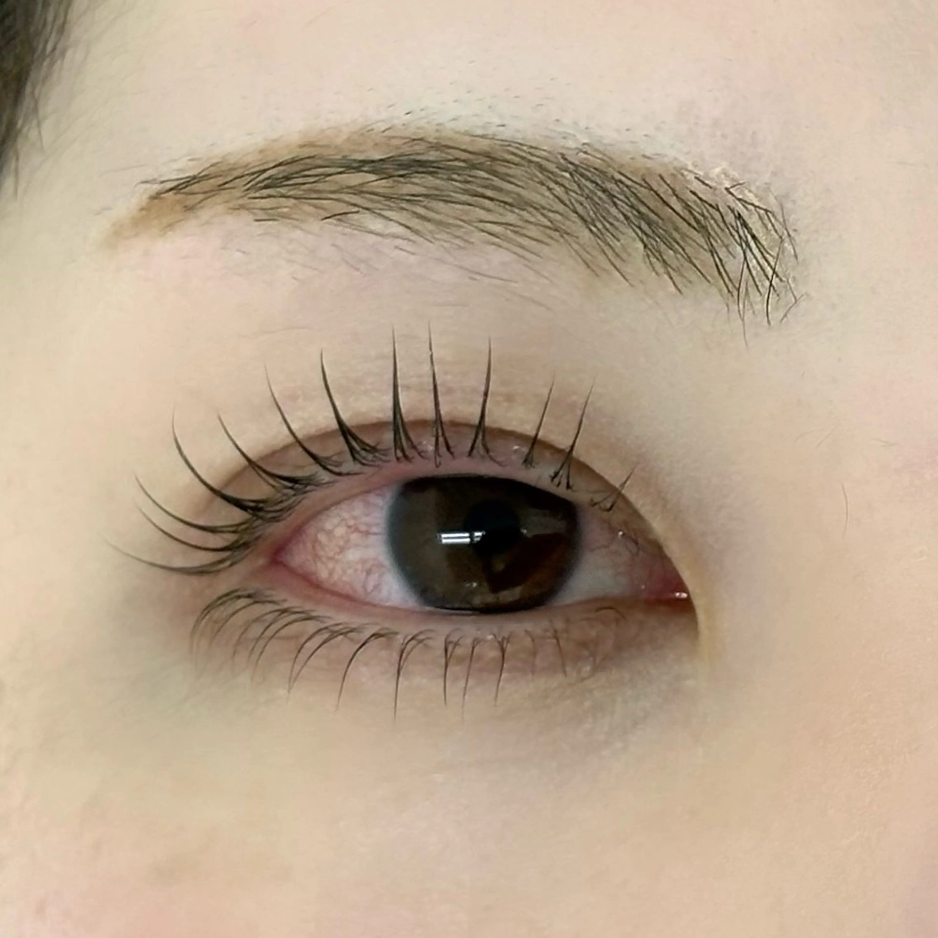 マツエク・マツパ 🐾武田 🧸のマツエク・マツパデザイン