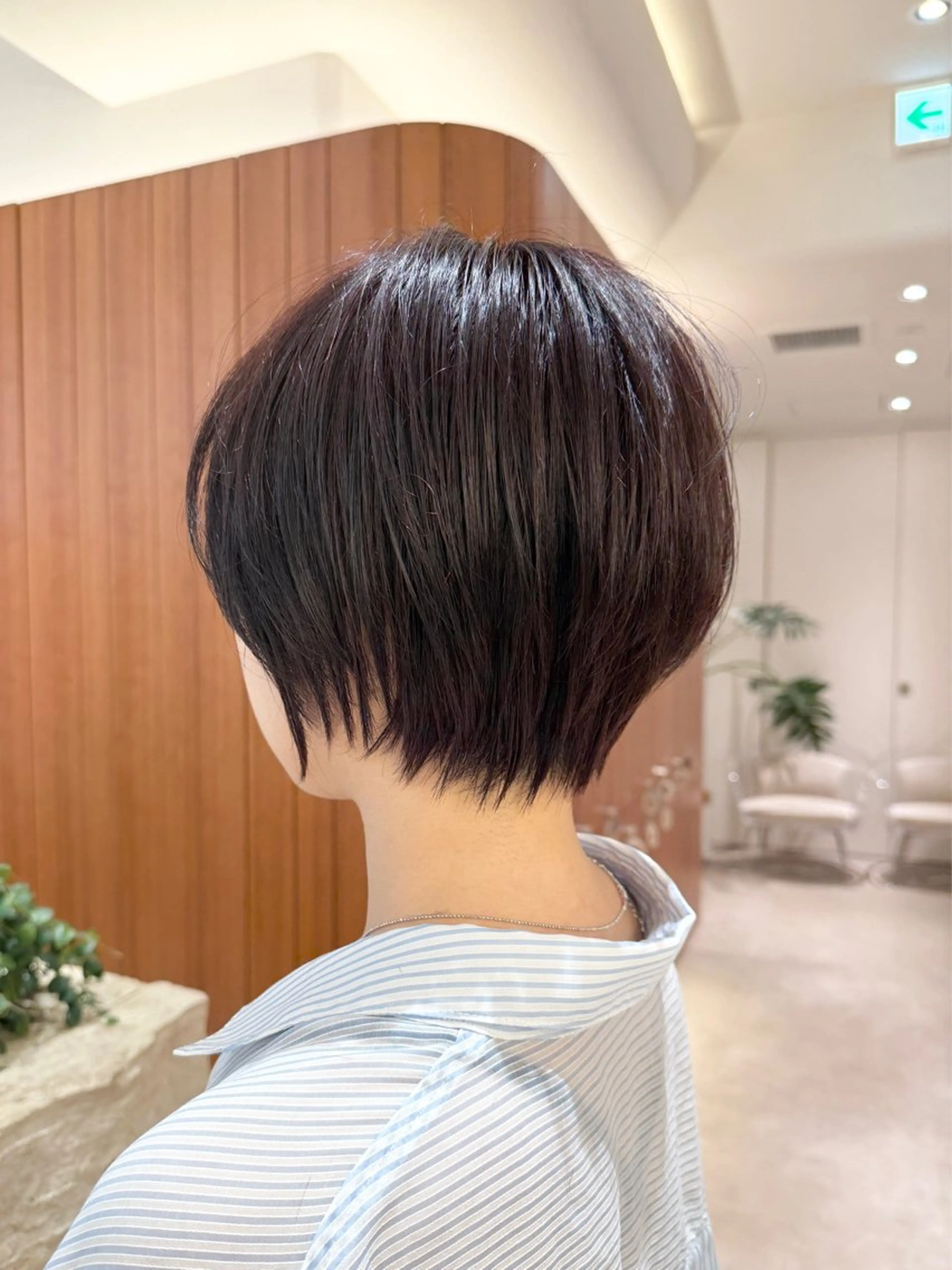 ショート ショートボブ ショートレイヤー ハンサムショート 丸みショート ボブ カット 田中航平/渋谷ボブ/ レイヤーボブのヘアスタイル